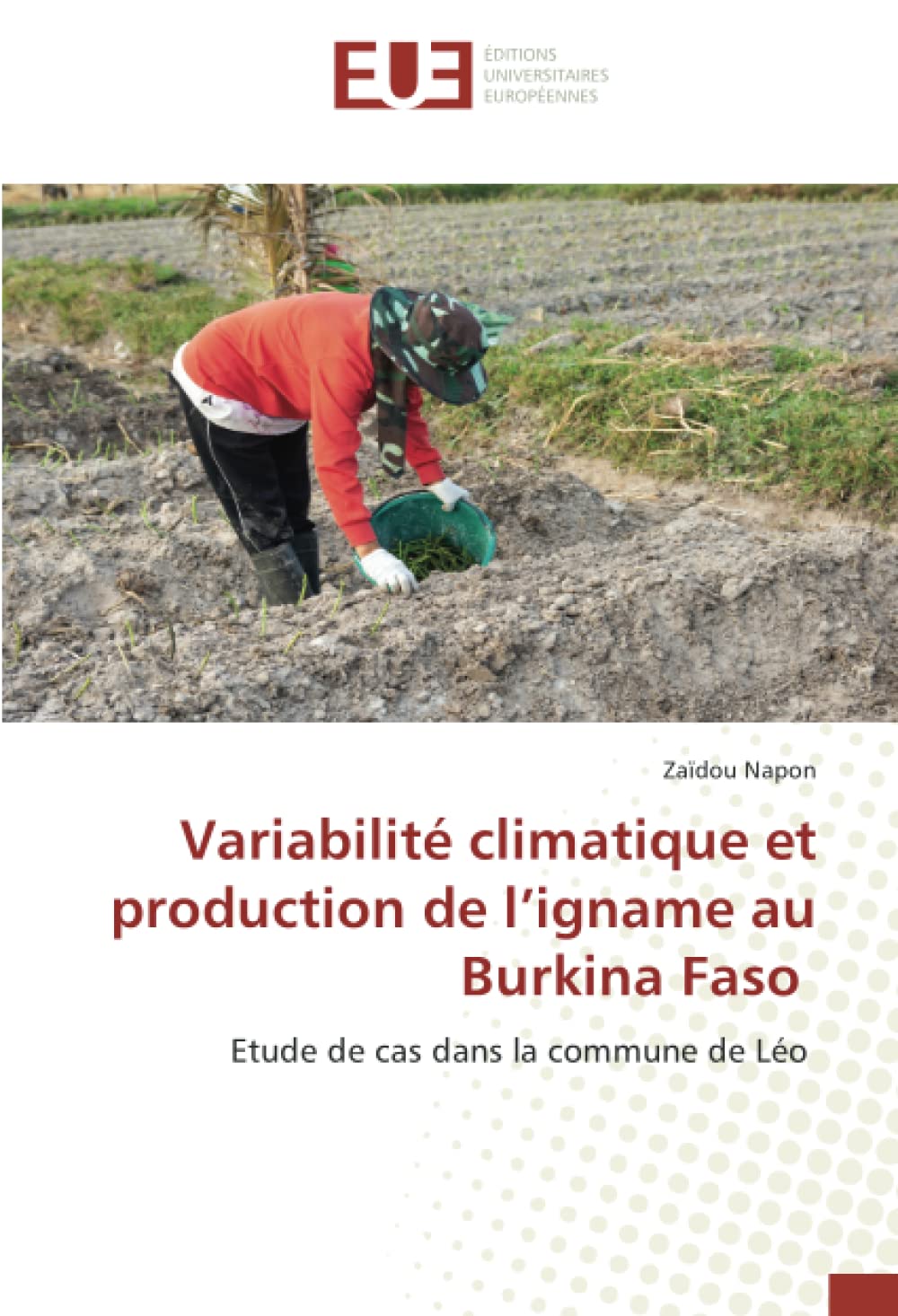 Variabilité climatique et production de l’igname au Burkina Faso: Etude de cas dans la commune de Léo book