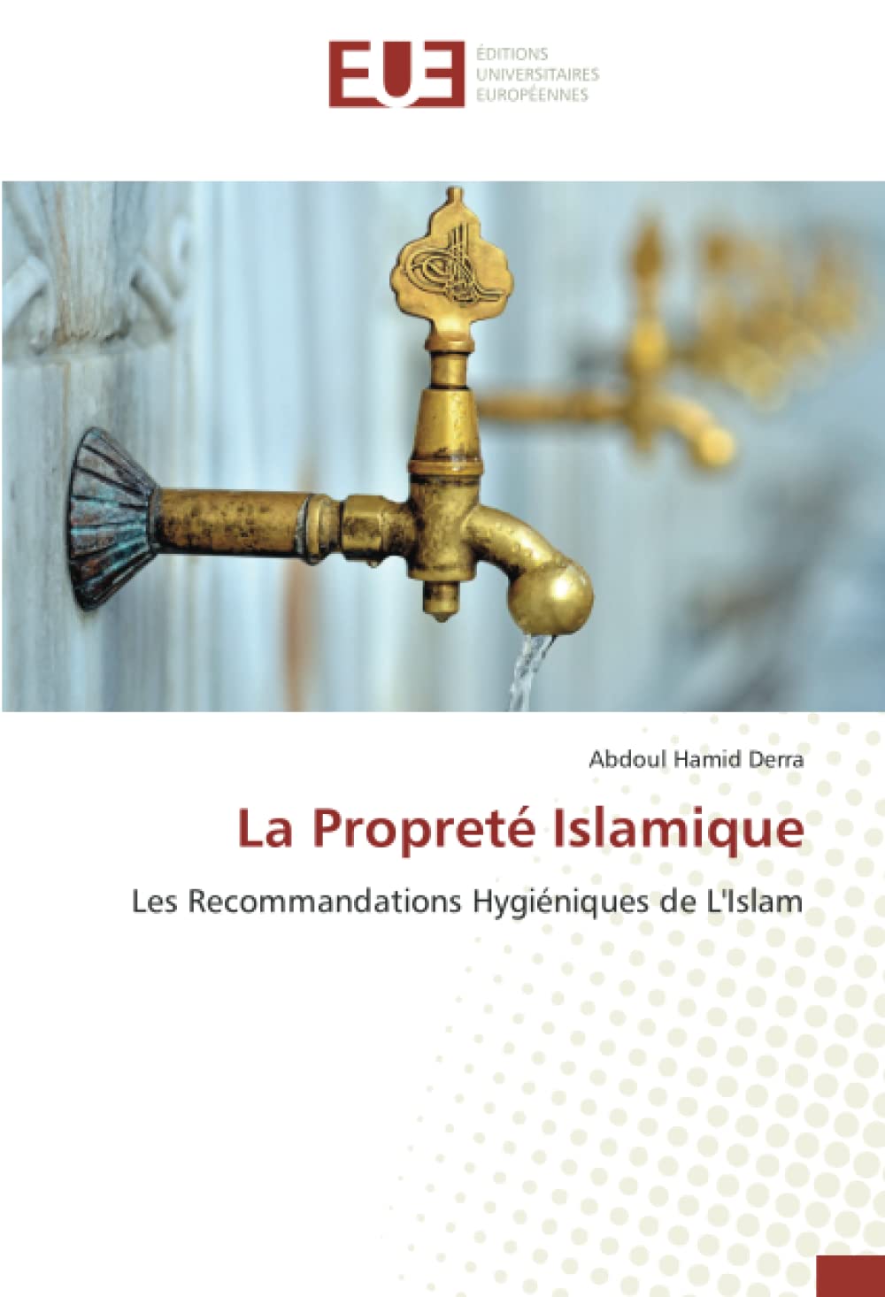 La Propreté Islamique: Les Recommandations Hygiéniques de L'Islam book