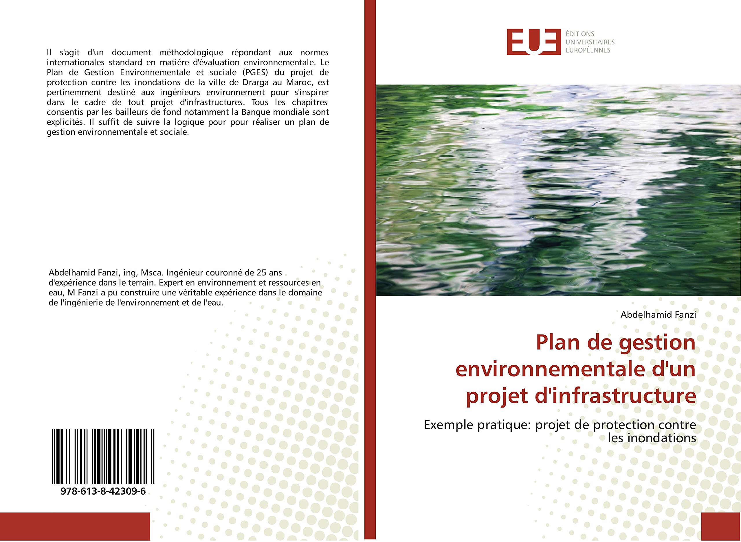 Plan de gestion environnementale d'un projet d'infrastructure: Exemple pratique: projet de protection contre les inondations book
