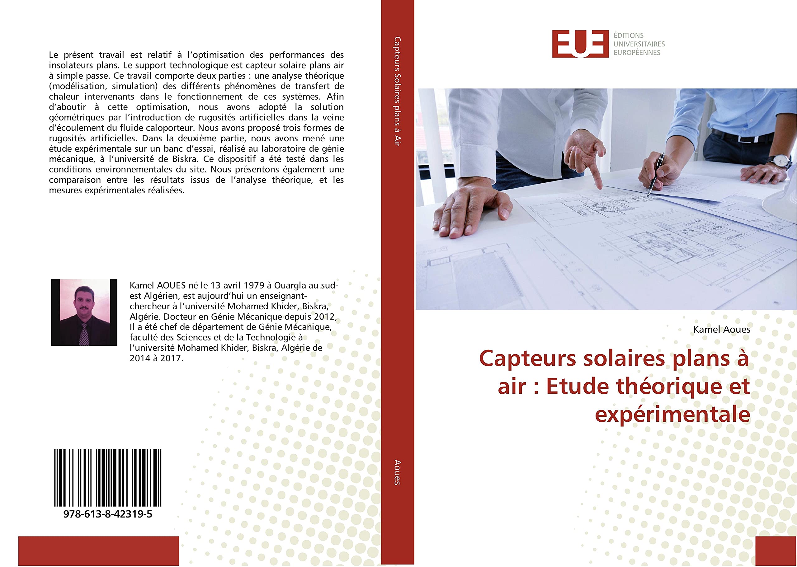 Capteurs solaires plans a air : Etude theorique et experimentale: La famille des syrphides ordre de dipteres book