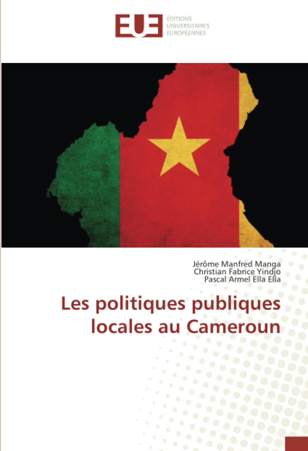 Les politiques publiques locales au Cameroun book