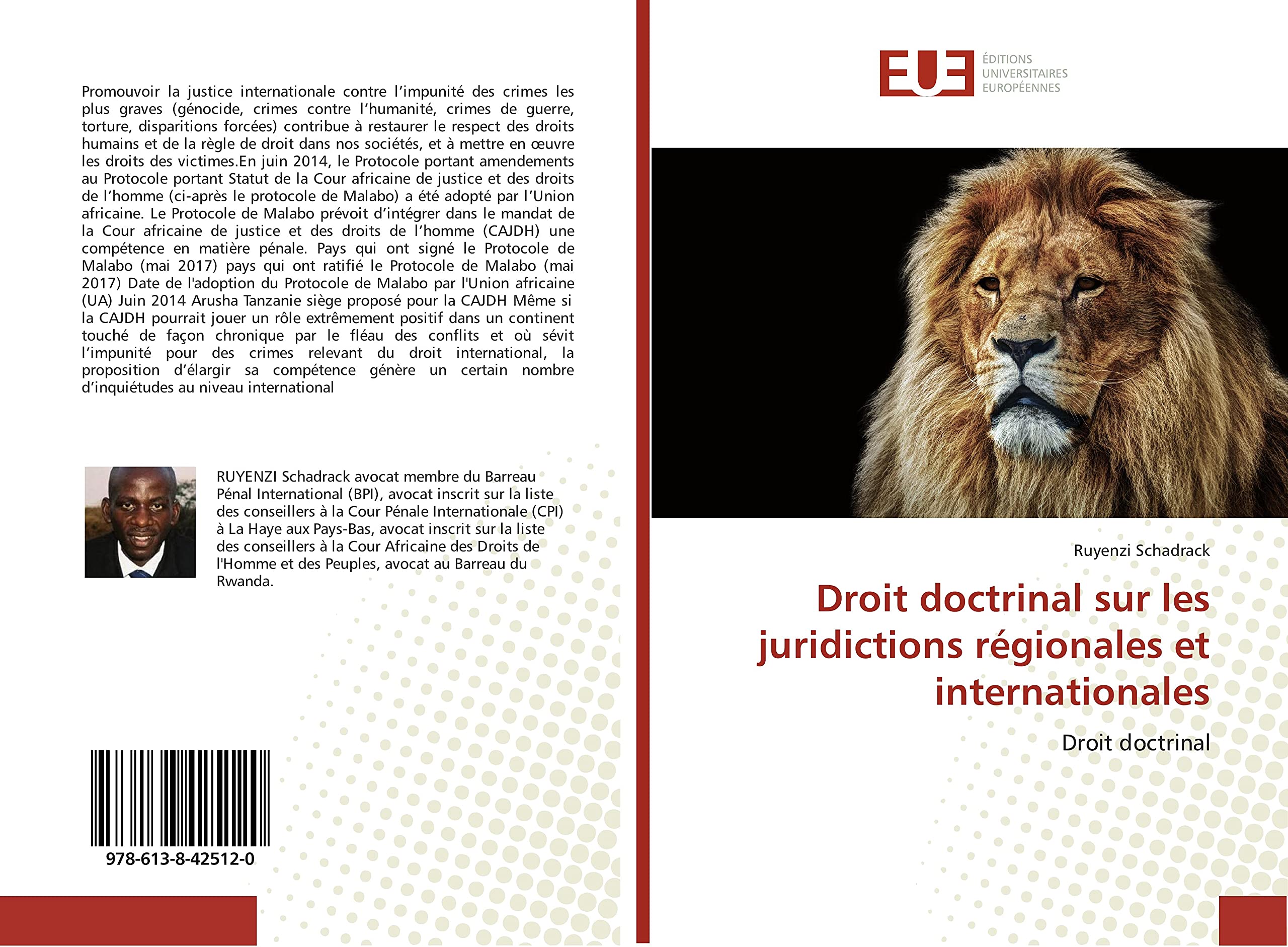 Droit doctrinal sur les juridictions régionales et internationales: Droit doctrinal book