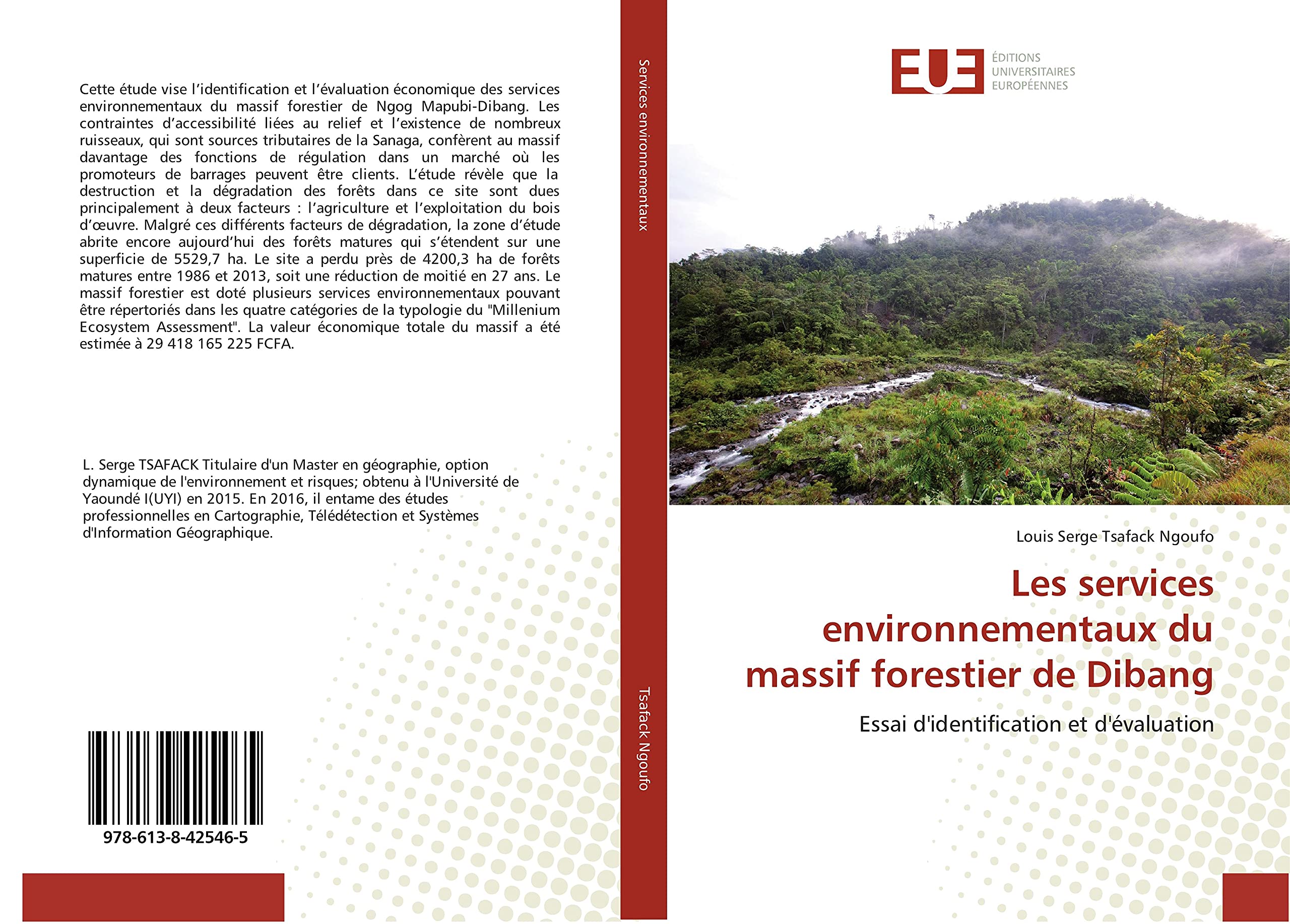 Les services environnementaux du massif forestier de Dibang: Essai d'identification et d'évaluation book