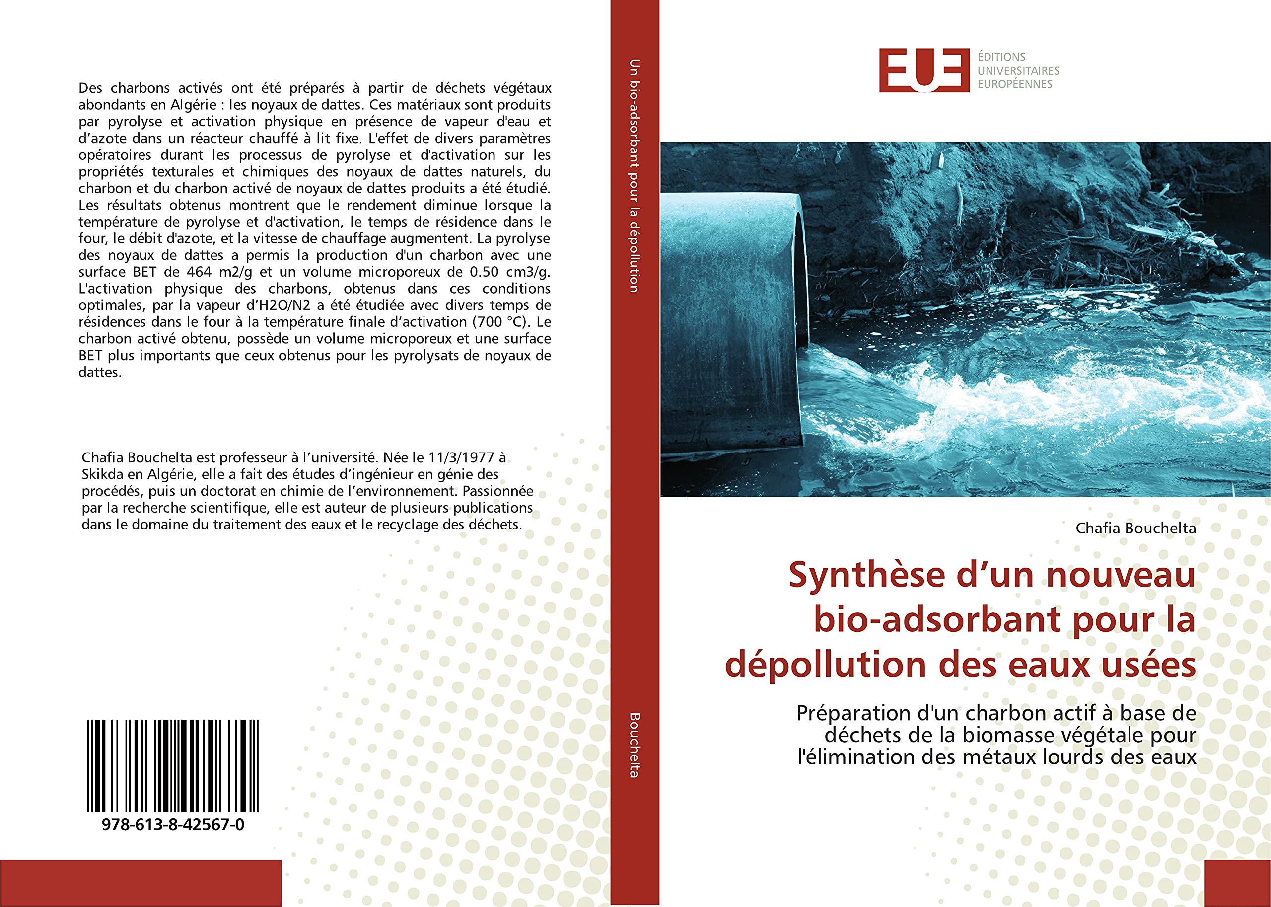 Préparation d'un charbon actif à base de déchets de la biomasse végétale pour l'élimination book