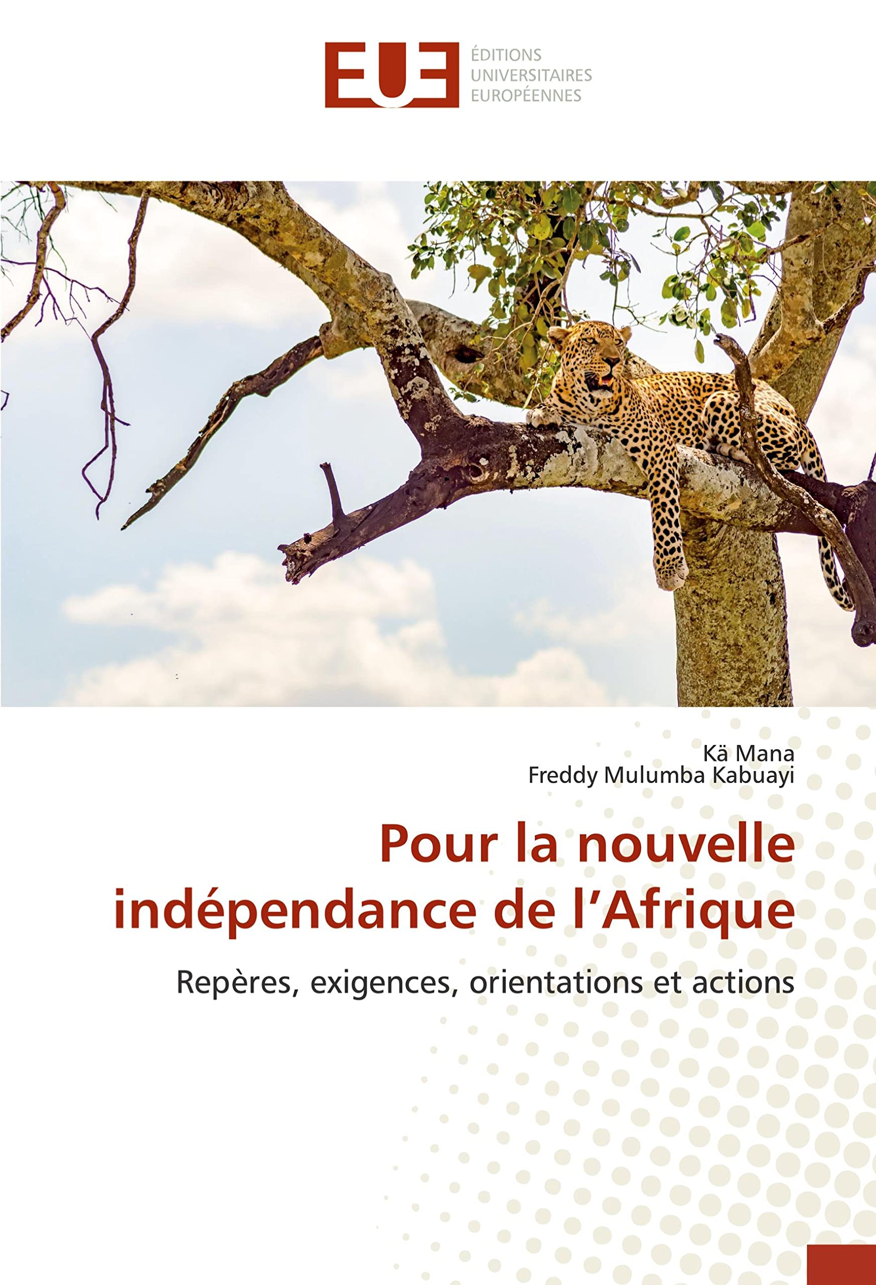 Pour la nouvelle indépendance de l'Afrique book