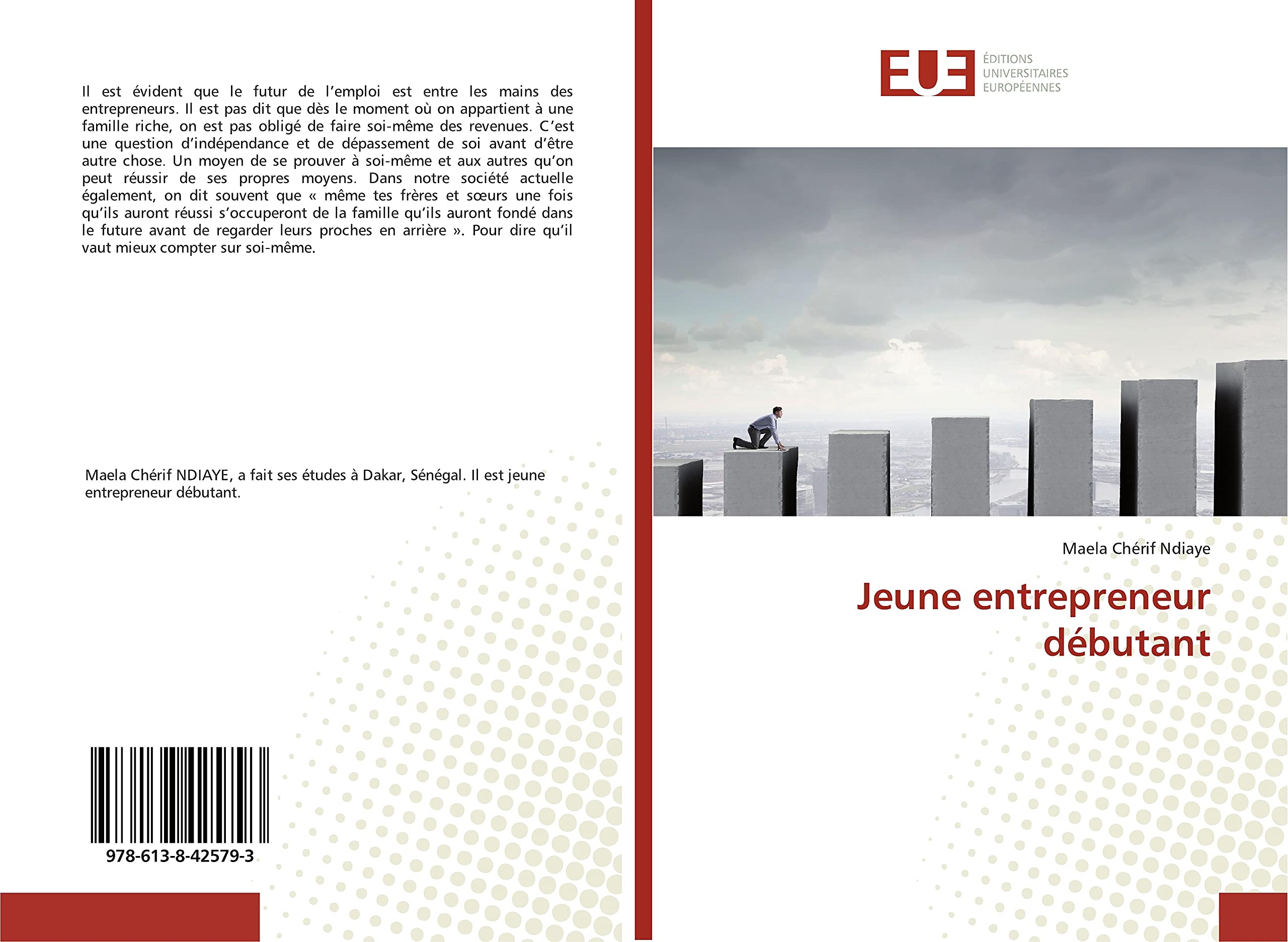Jeune entrepreneur débutant book