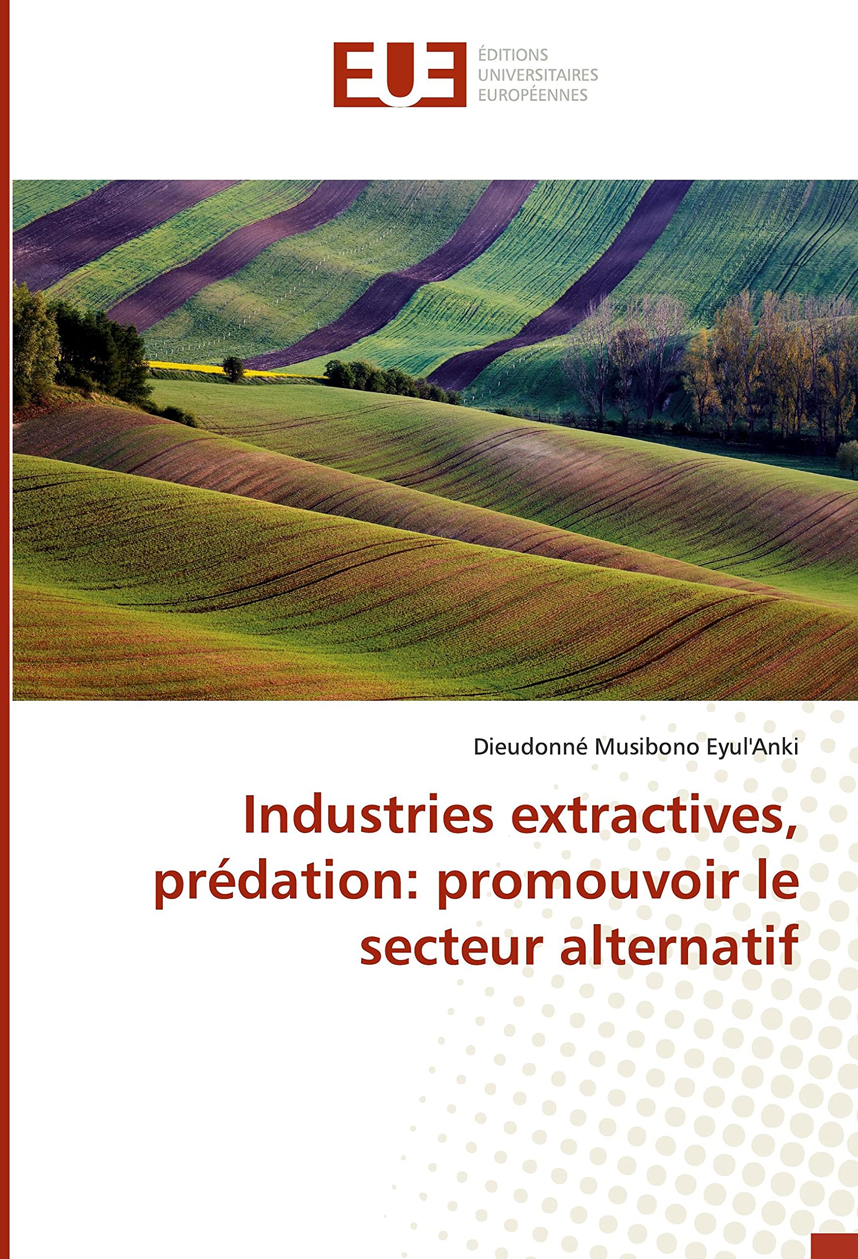 Industries extractives, predation: promouvoir le secteur alternatif: Quelle est l'incidence du role politique de l'episcopat sur la diplomatie vaticano-congolaise book