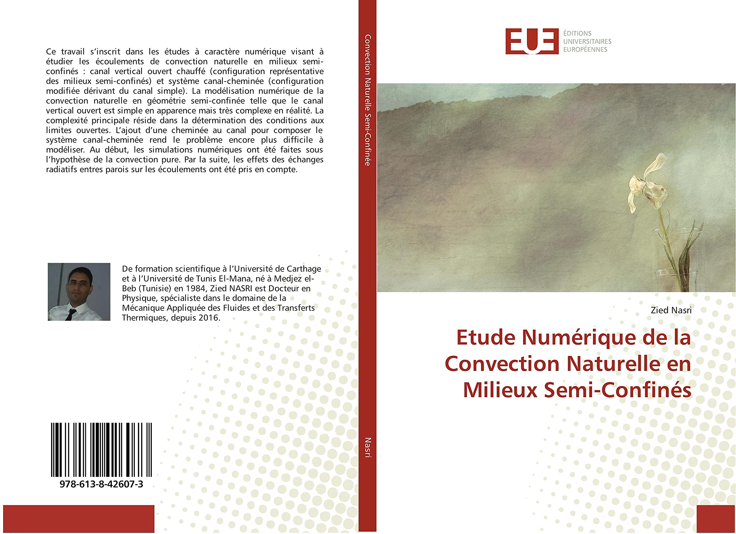 Etude Numérique de la Convection Naturelle en Milieux Semi-Confinés book