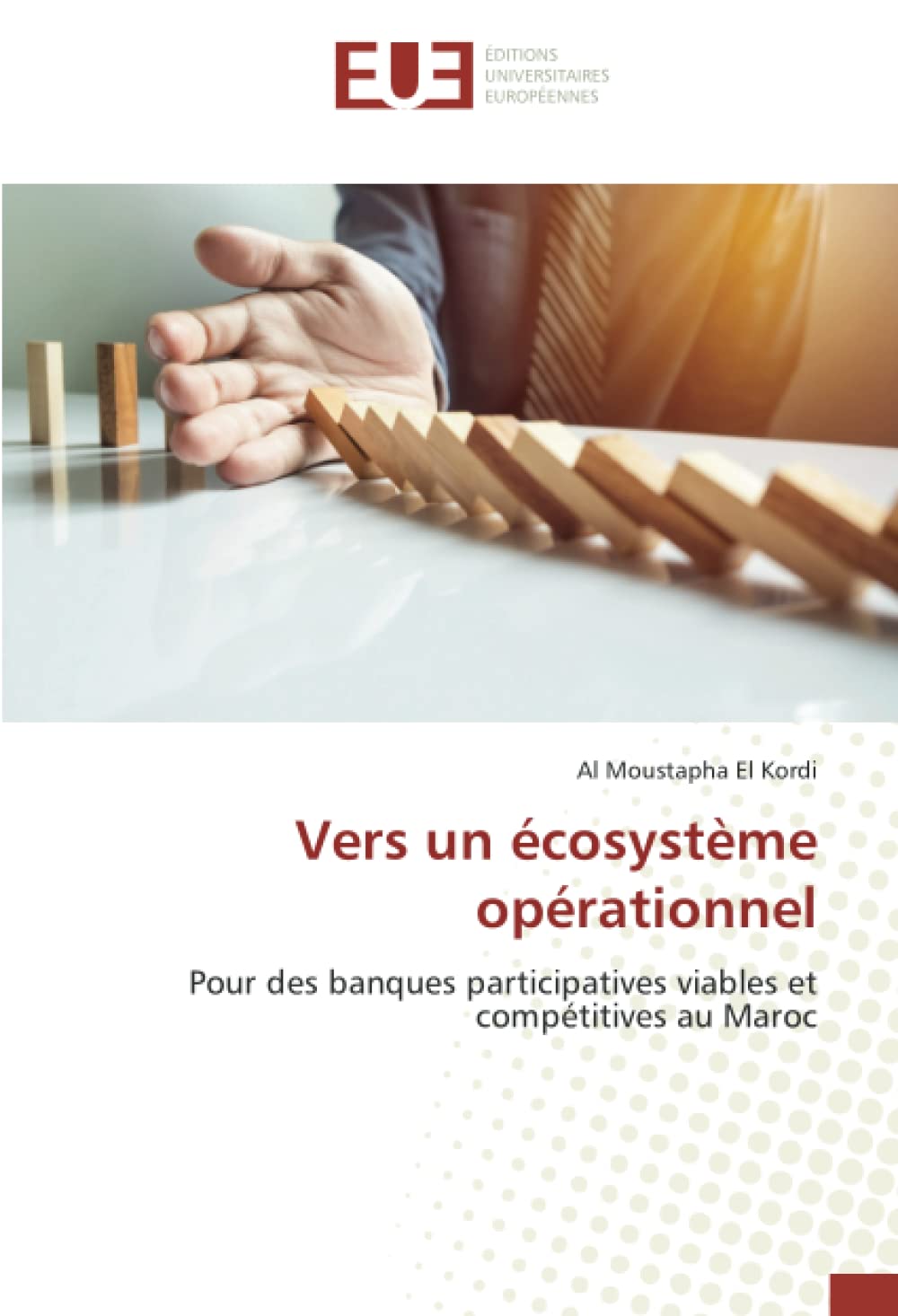 Vers un écosystème opérationnel: Pour des banques participatives viables et compétitives au Maroc book