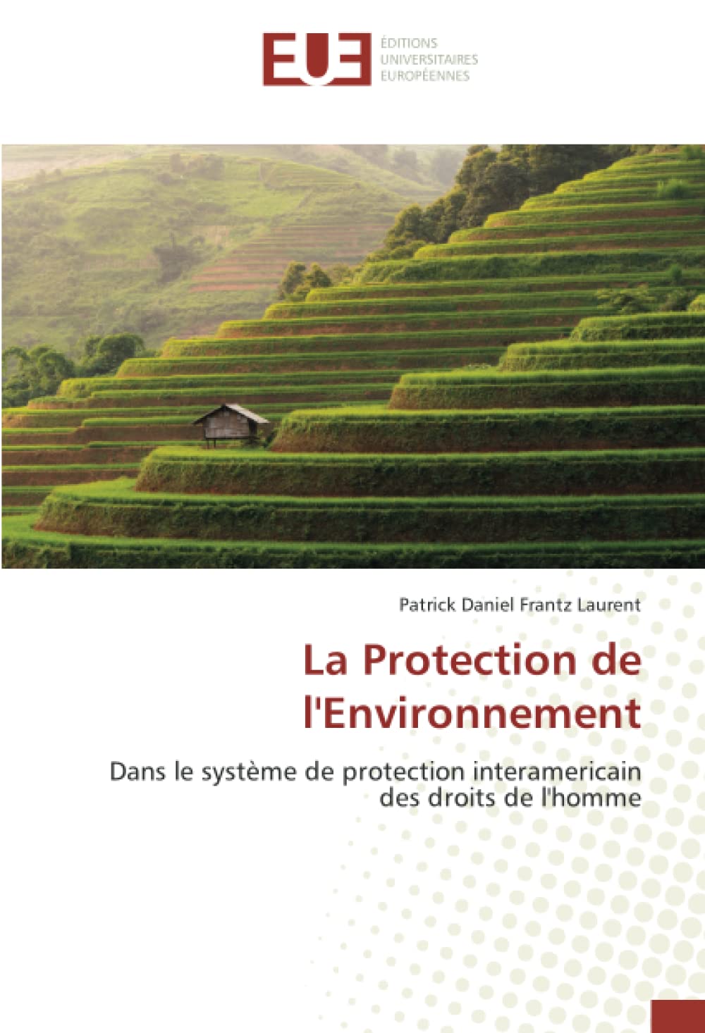 La Protection de l'Environnement: Dans le système de protection interamericain des droits de l'homme book