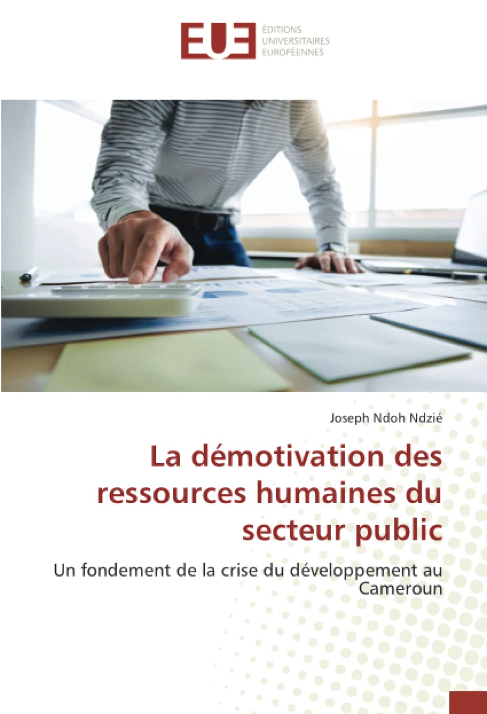 La démotivation des ressources humaines du secteur public: Un fondement de la crise du développement au Cameroun book