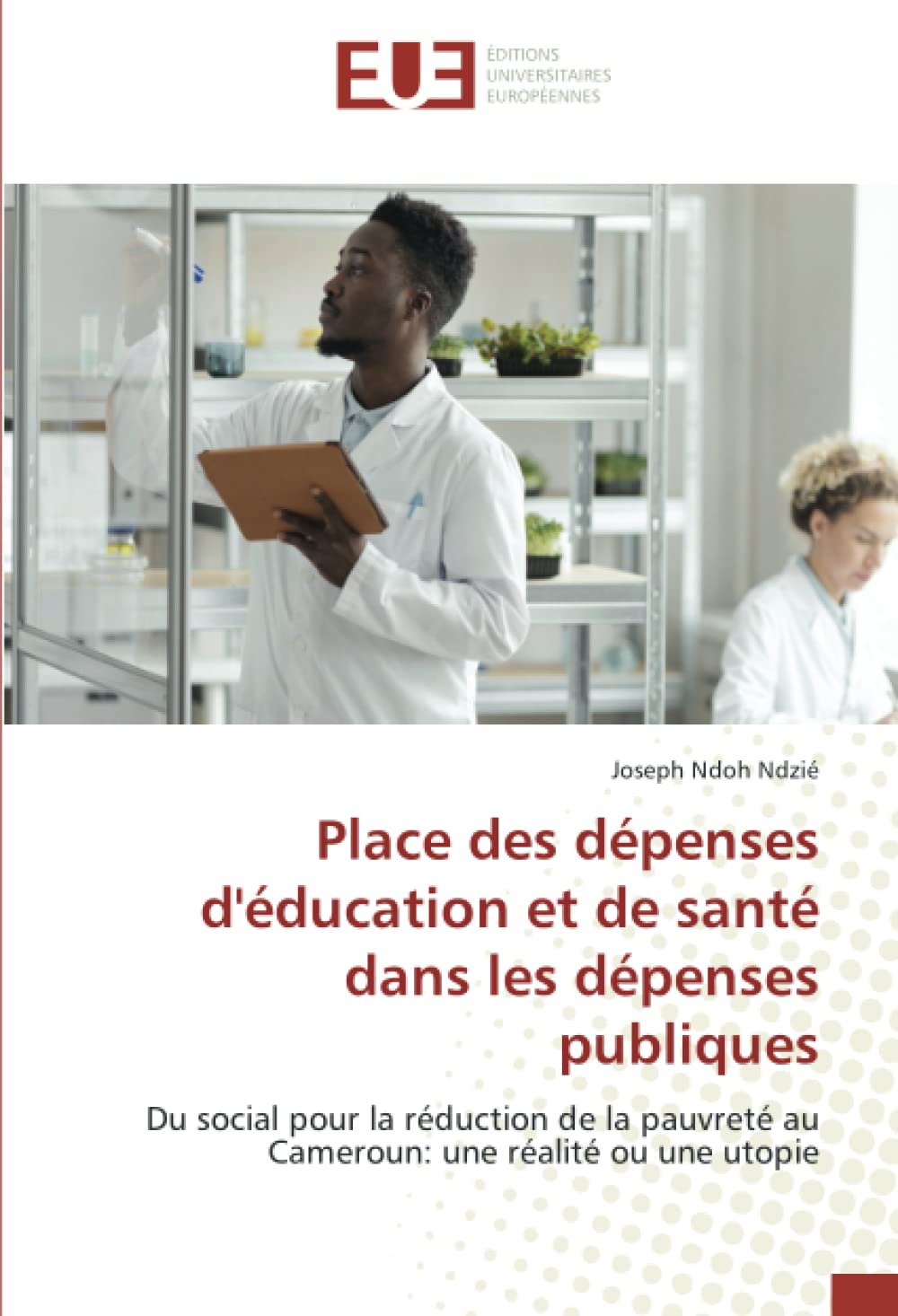 Place des dépenses d'éducation et de santé dans les dépenses publiques: Du social pour la réduction de la pauvreté au Cameroun: une réalité ou une utopie book