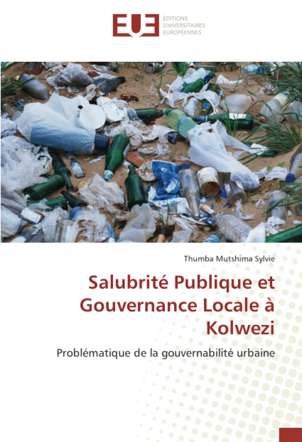 Salubrité Publique et Gouvernance Locale à Kolwezi: Problématique de la gouvernabilité urbaine book