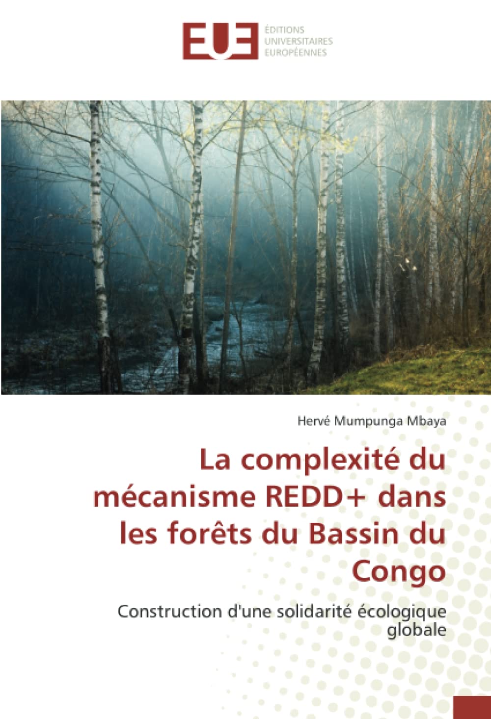 La complexité du mécanisme REDD+ dans les forêts du Bassin du Congo: Construction d'une solidarité écologique globale book