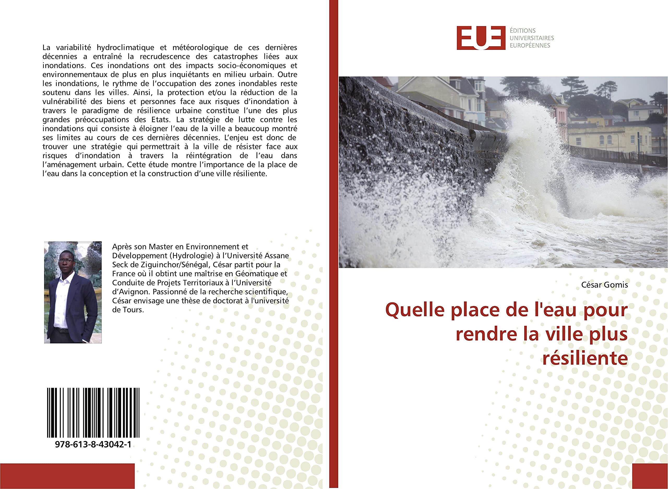 Quelle place de l'eau pour rendre la ville plus résiliente book