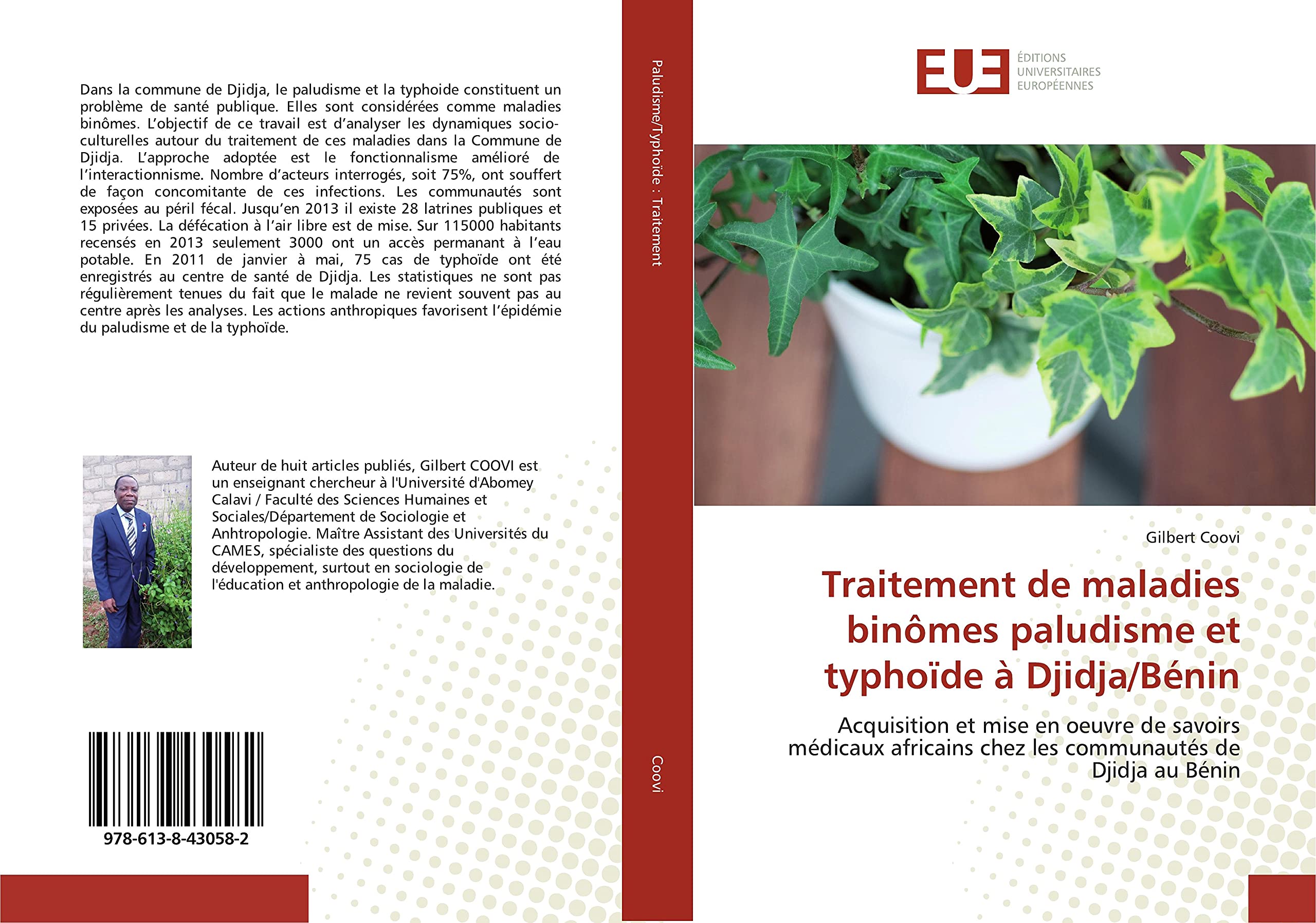 Traitement de maladies binômes paludisme et typhoïde à Djidja/Bénin: Acquisition et mise en oeuvre de savoirs médicaux africains chez les communautés de Djidja au Bénin book