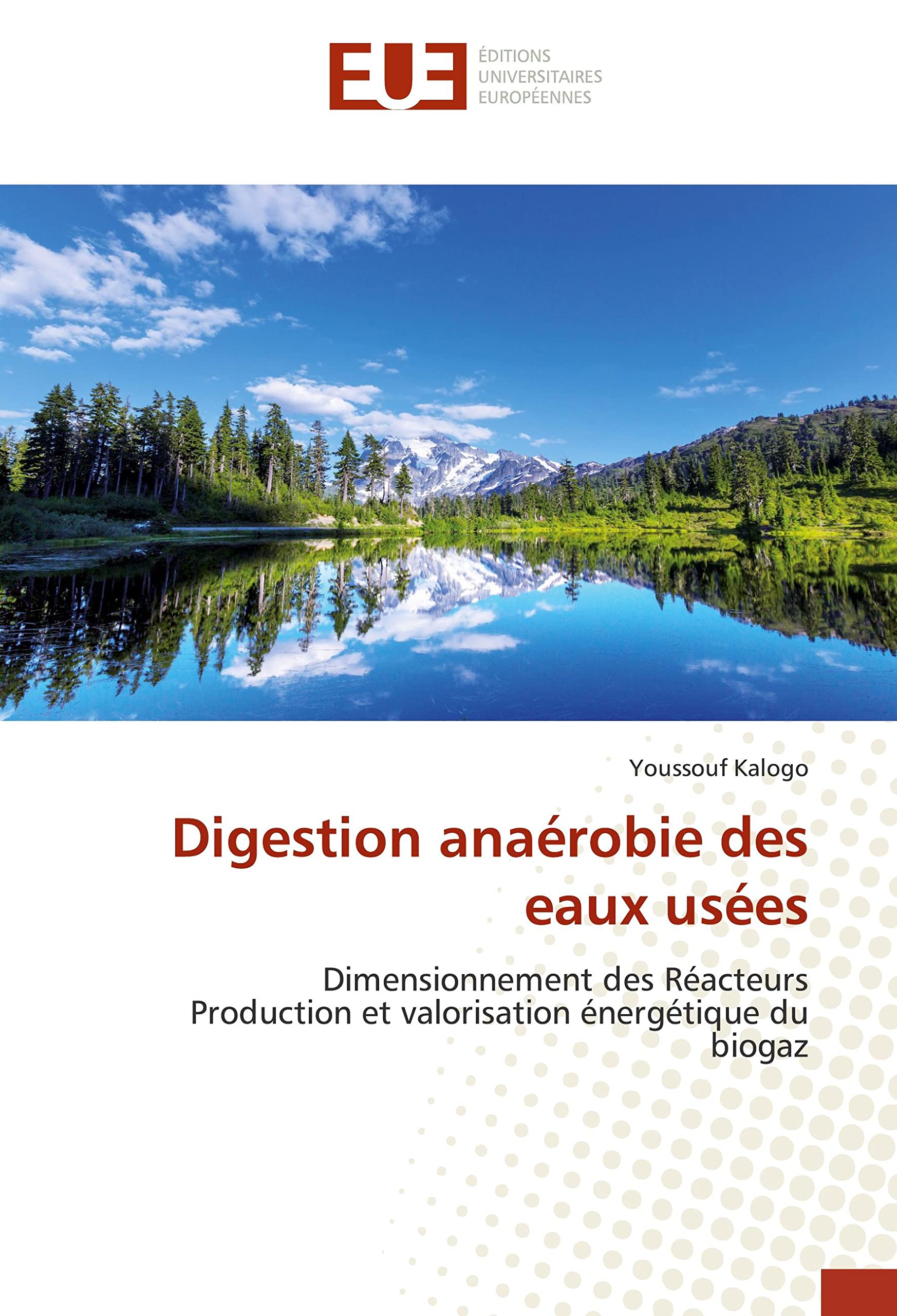 Digestion anaerobie des eaux usees: etude de quelques cas book