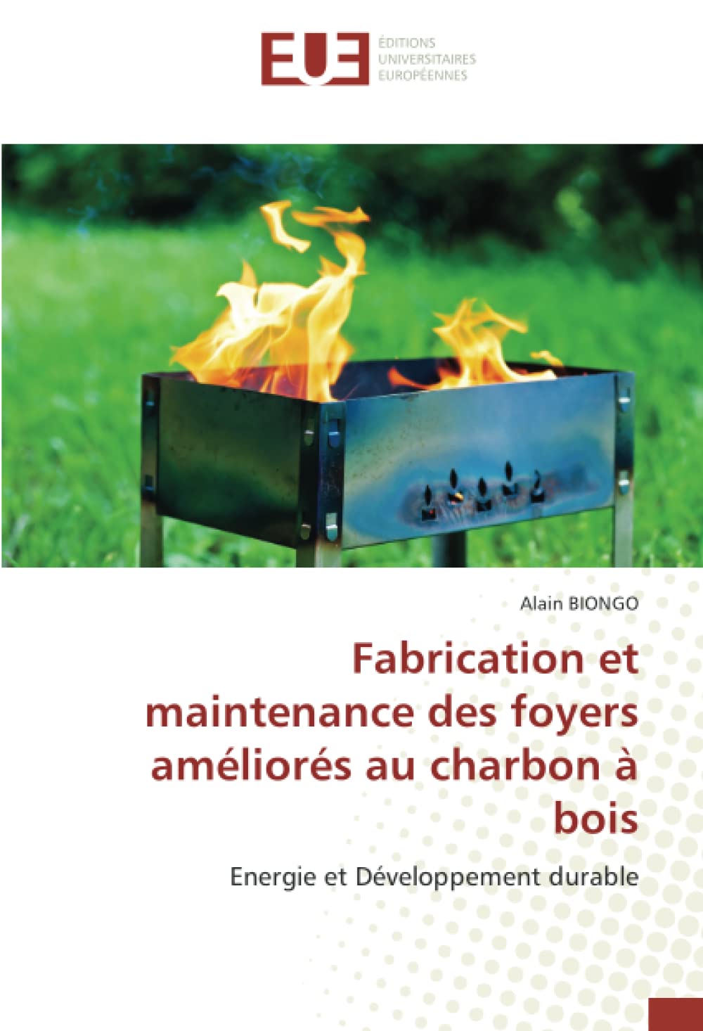 Fabrication et maintenance des foyers améliorés au charbon à bois: Energie et Développement durable book