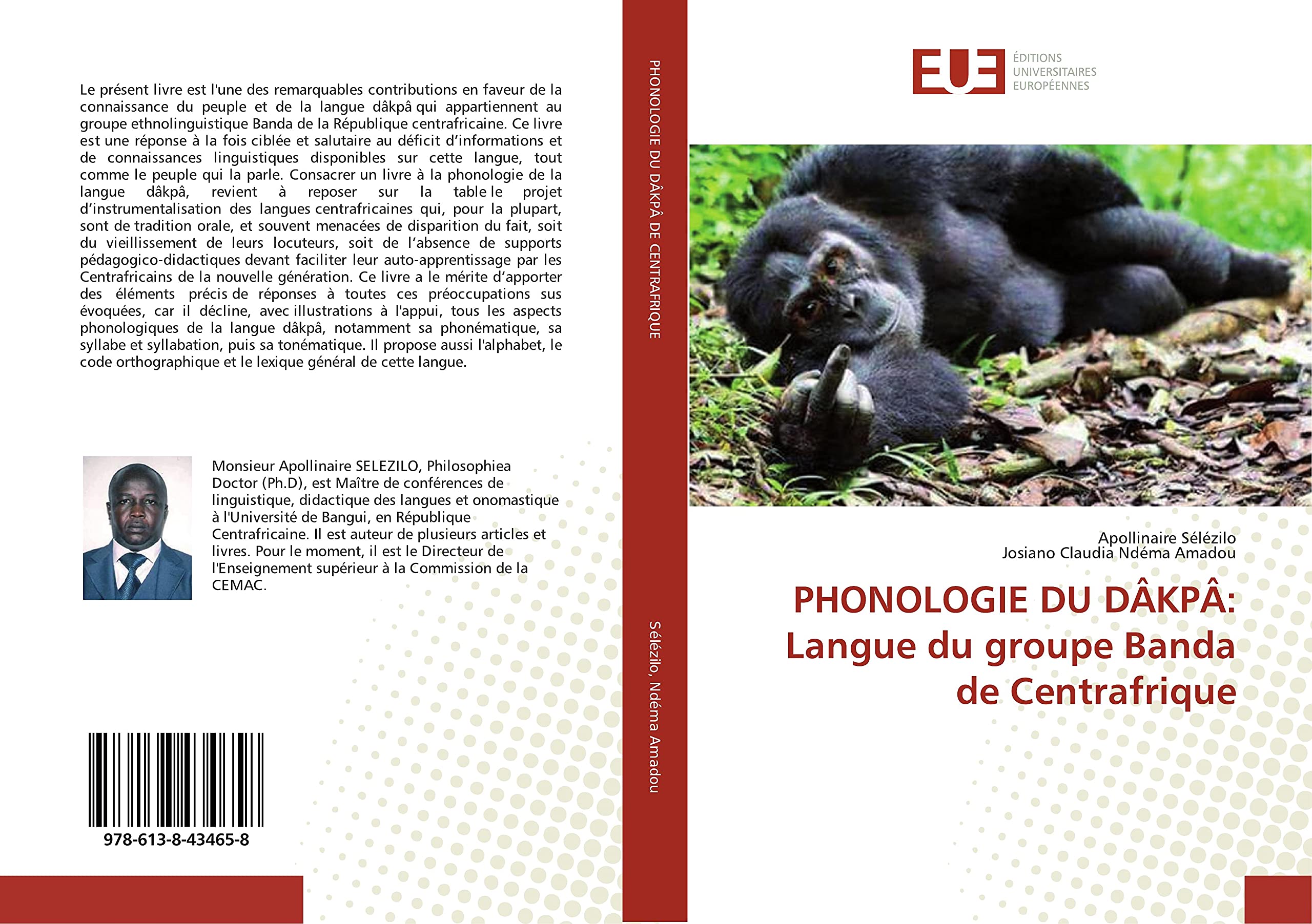 PHONOLOGIE DU DÂKPÂ: Langue du groupe Banda de Centrafrique book