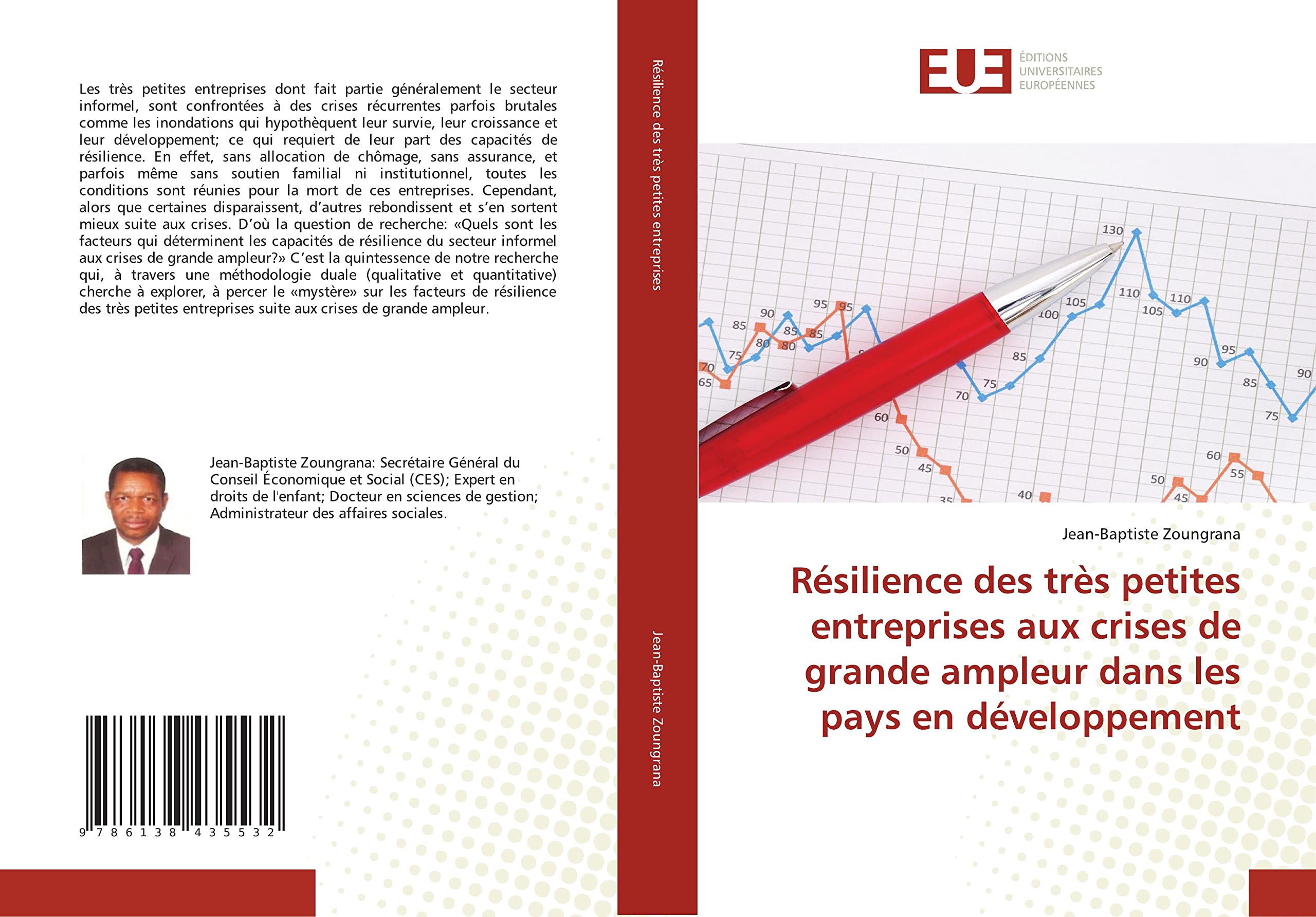 Résilience des très petites entreprises aux crises de grande ampleur dans les pays en développement book