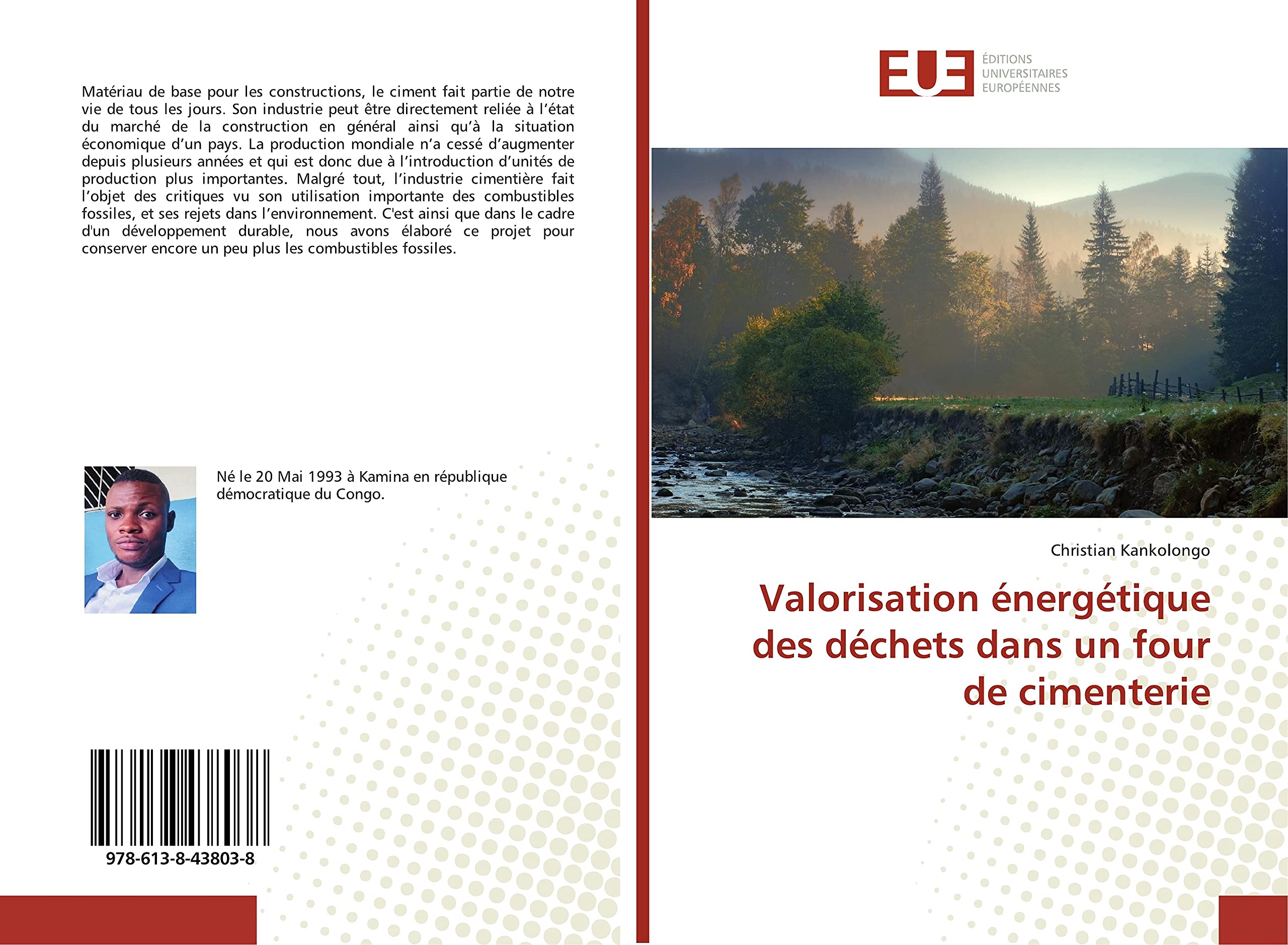 Valorisation énergétique des déchets dans un four de cimenterie book