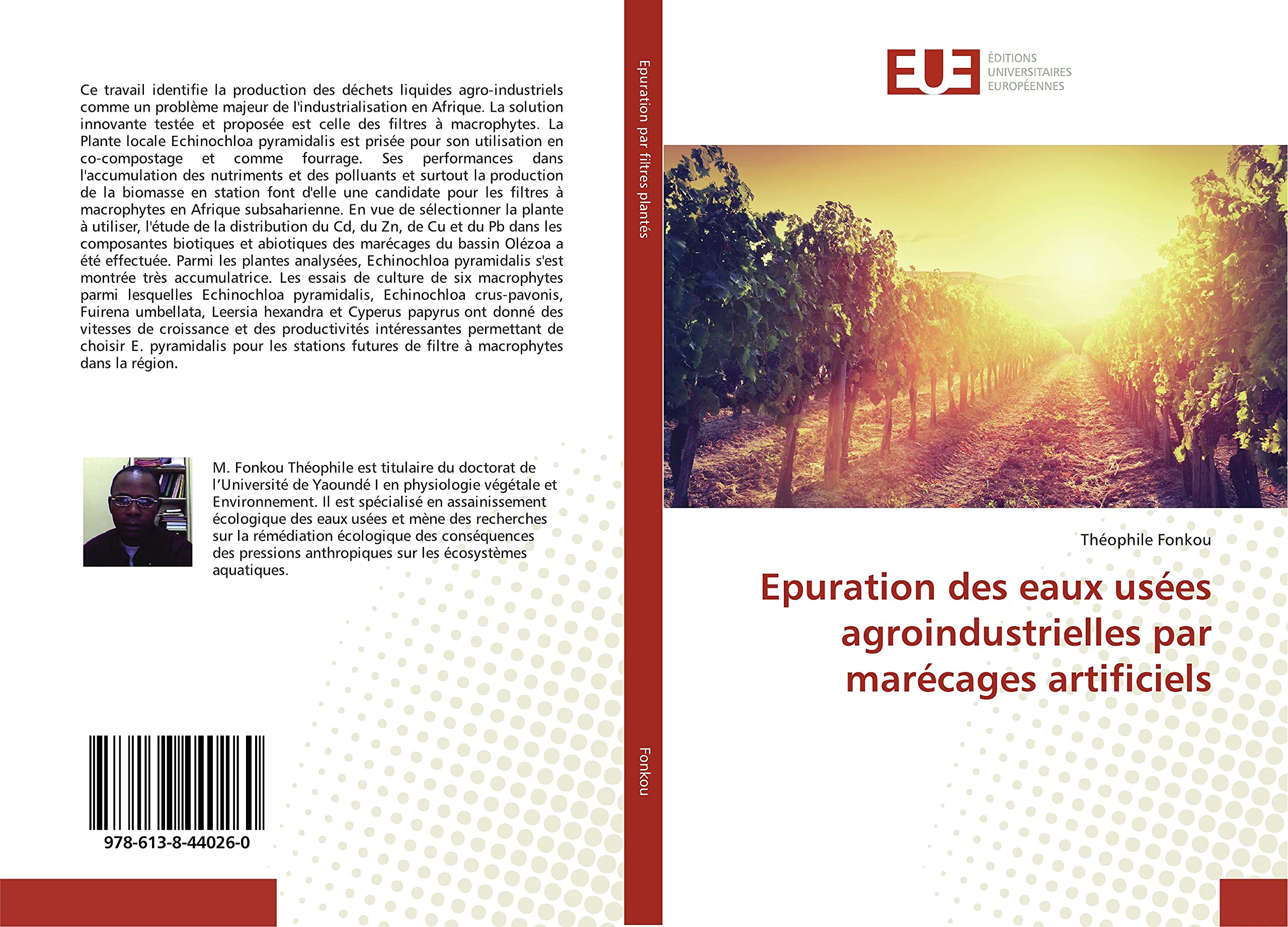 Epuration des eaux usées agroindustrielles par marécages artificiels book
