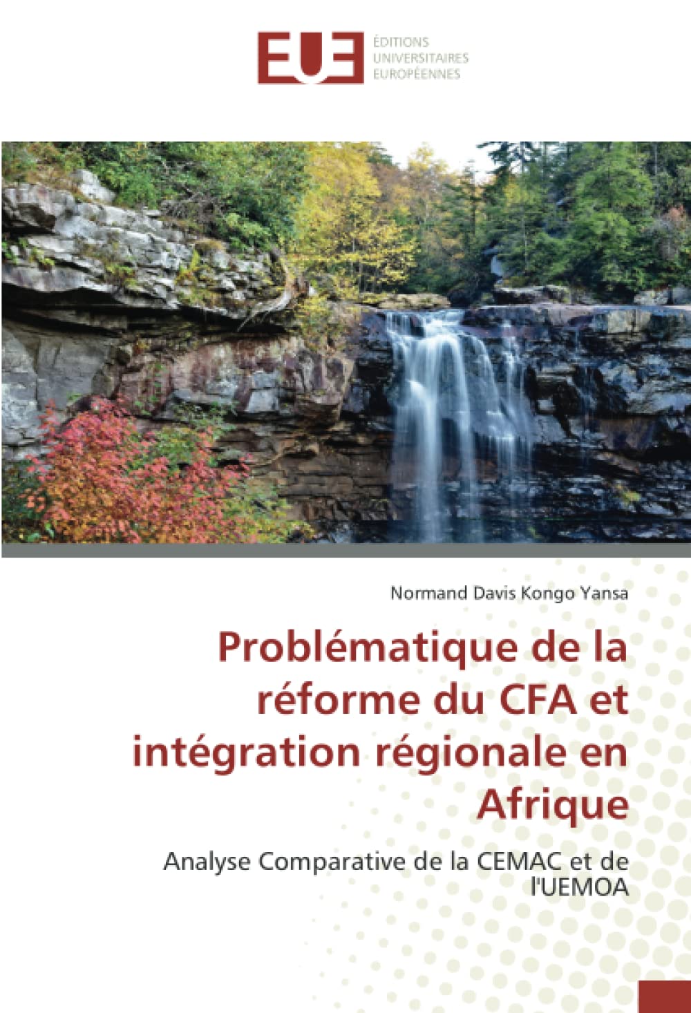 Problématique de la réforme du CFA et intégration régionale en Afrique: Analyse Comparative de la CEMAC et de l'UEMOA book