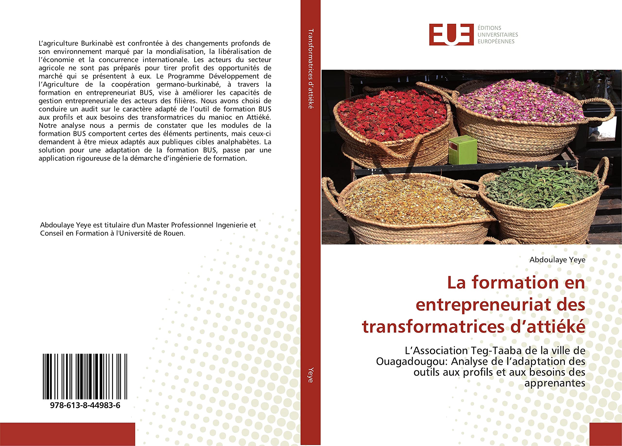 La formation en entrepreneuriat des transformatrices d’attiéké: L’Association Teg‐Taaba de la ville de Ouagadougou: Analyse de l’adaptation des outils aux profils et aux besoins des apprenantes book