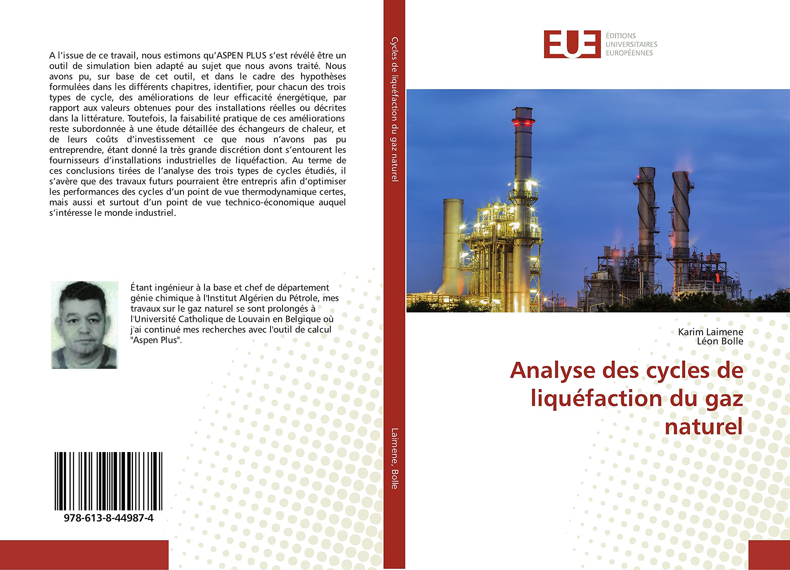 Analyse des cycles de liquéfaction du gaz naturel book