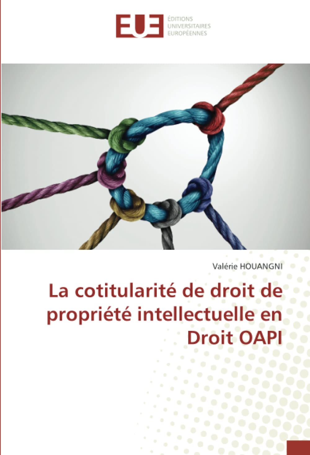 La cotitularité de droit de propriété intellectuelle en Droit OAPI book
