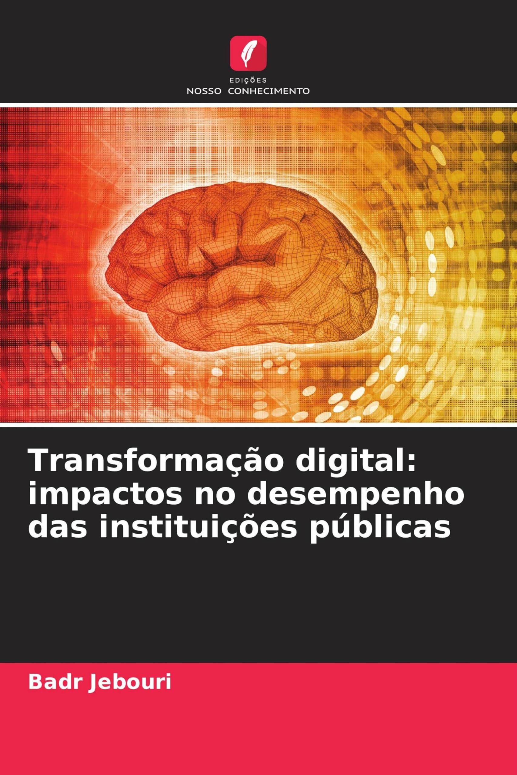 Transformação digital: impactos no desempenho das instituições públicas Books