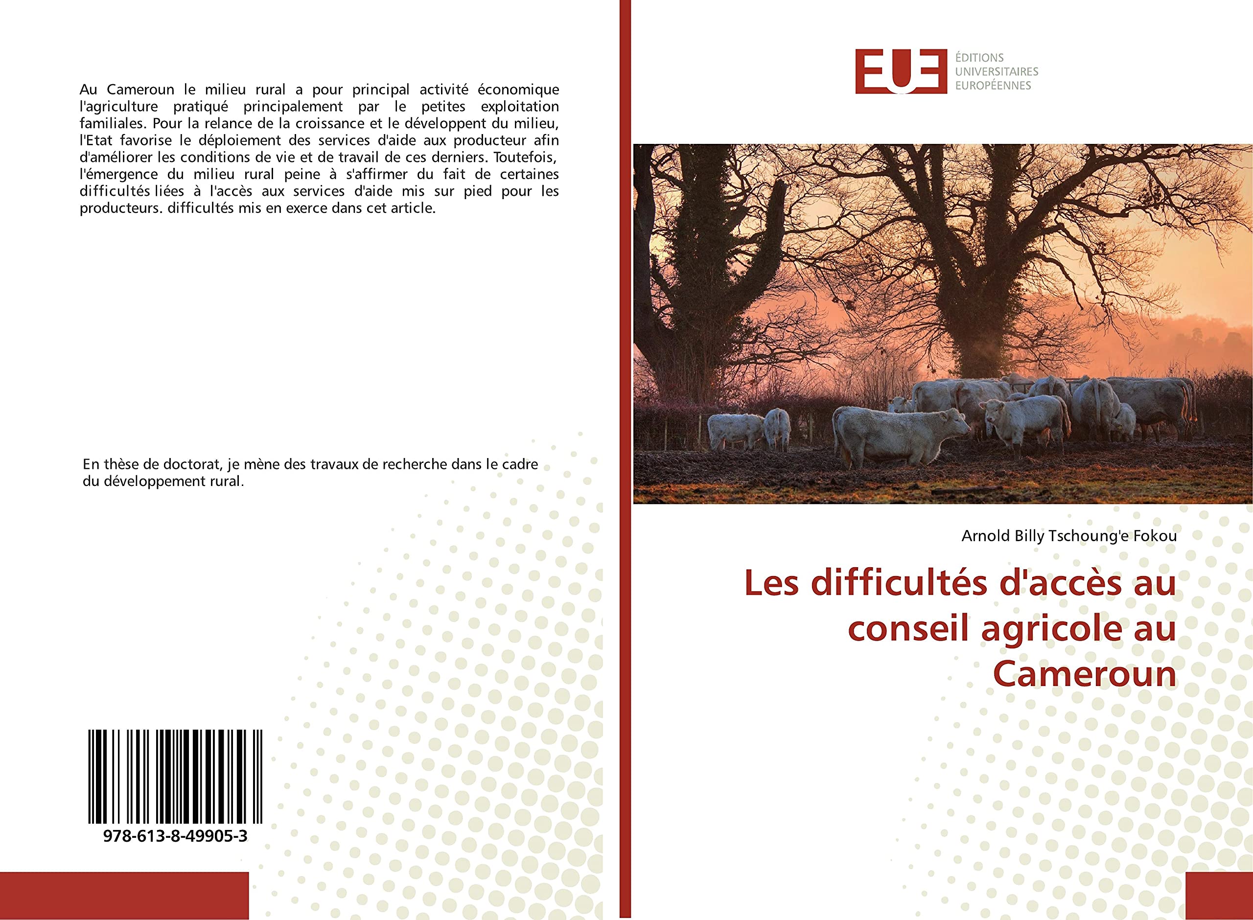Les difficultés d'accès au conseil agricole au Cameroun book