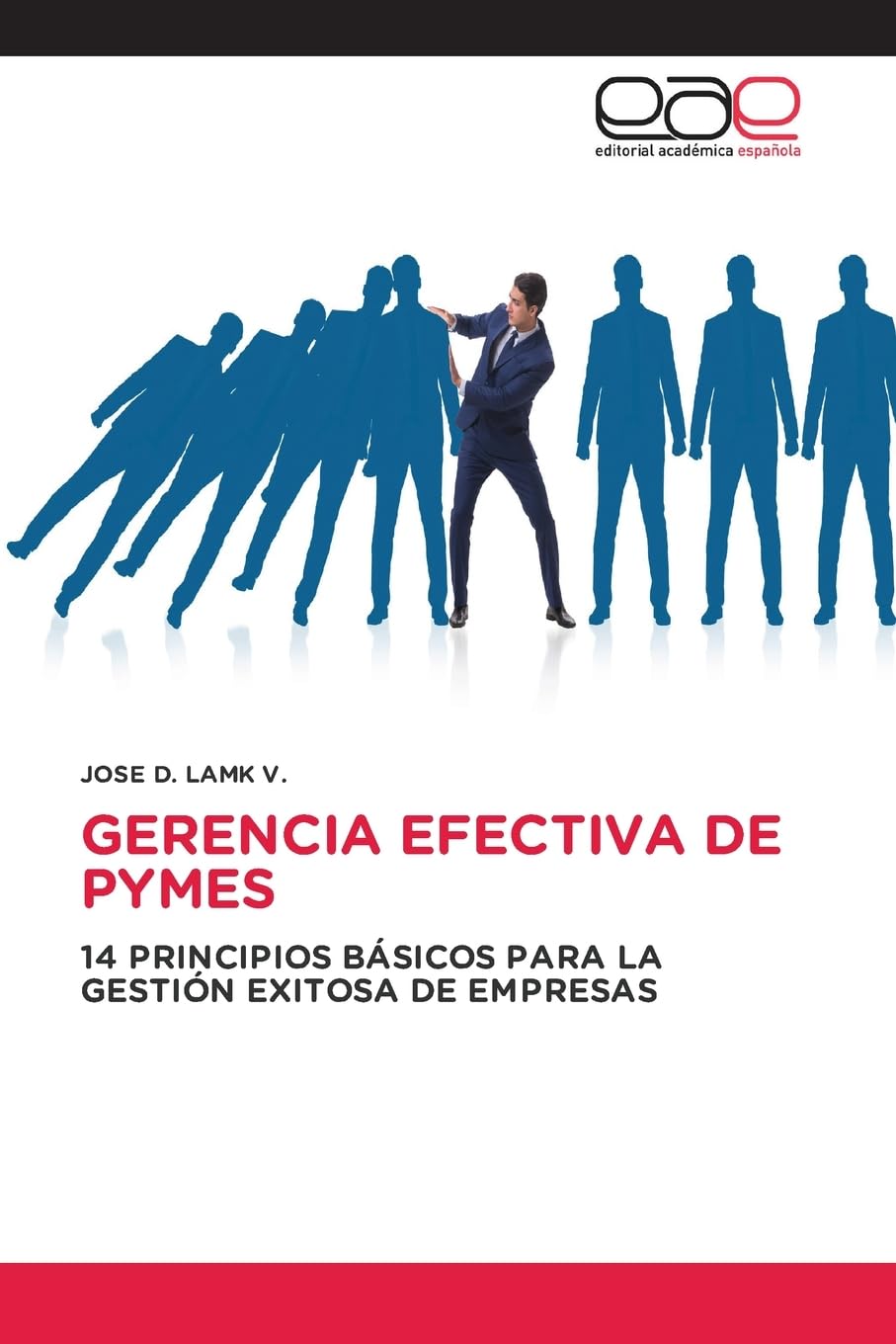 GERENCIA EFECTIVA DE PYMES: 14 PRINCIPIOS BÁSICOS PARA LA GESTIÓN EXITOSA DE EMPRESAS book