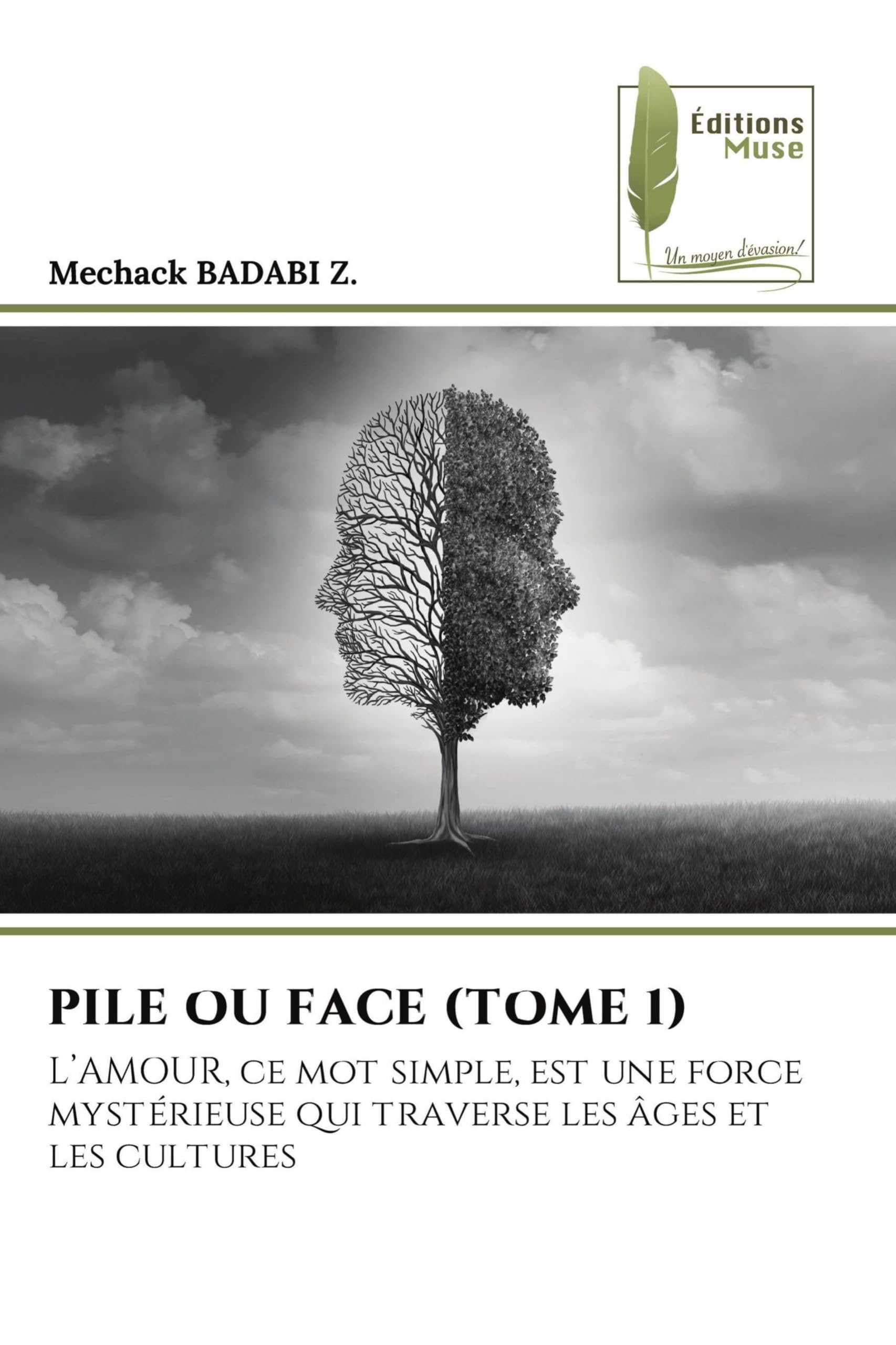 PILE OU FACE (TOME 1) Fiction