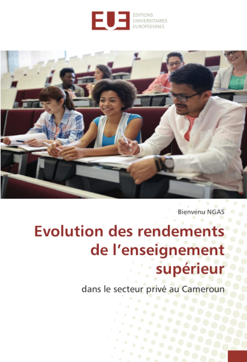 Evolution des rendements de l’enseignement supérieur: dans le secteur privé au Cameroun book