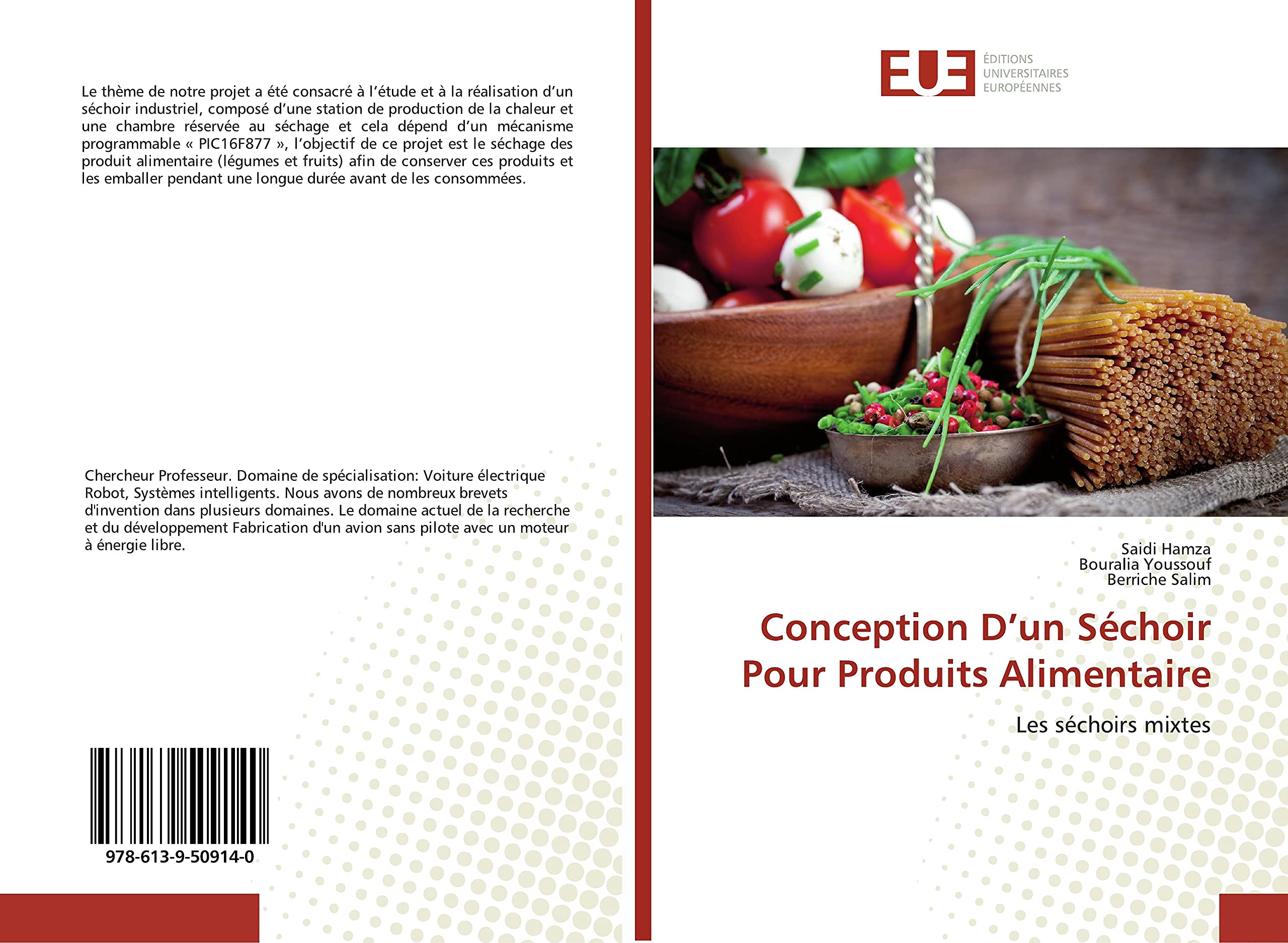 Conception D’un Séchoir Pour Produits Alimentaire: Les séchoirs mixtes book
