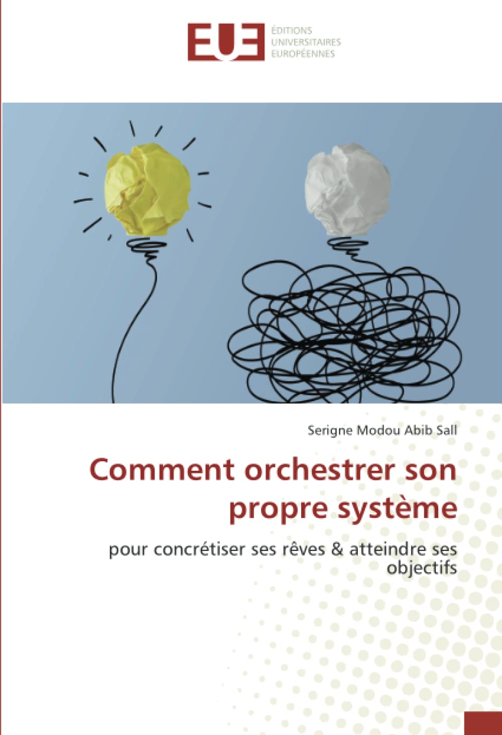 Comment orchestrer son propre système: pour concrétiser ses rêves & atteindre ses objectifs book