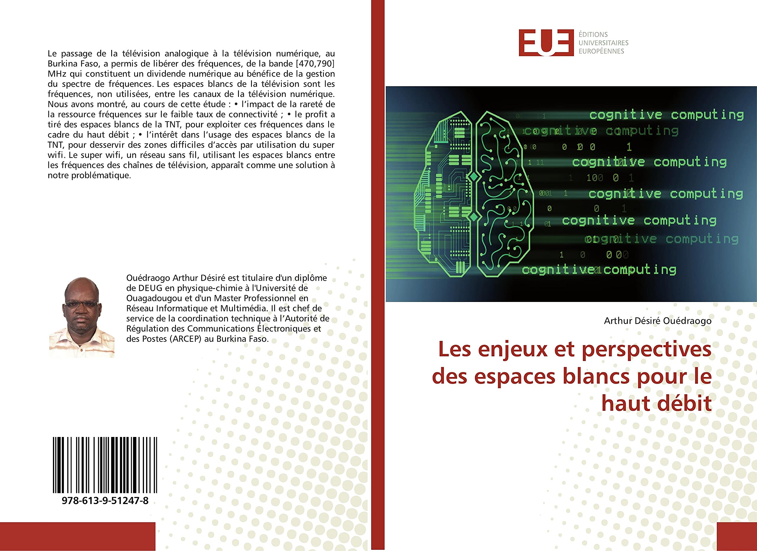 Les enjeux et perspectives des espaces blancs pour le haut débit book