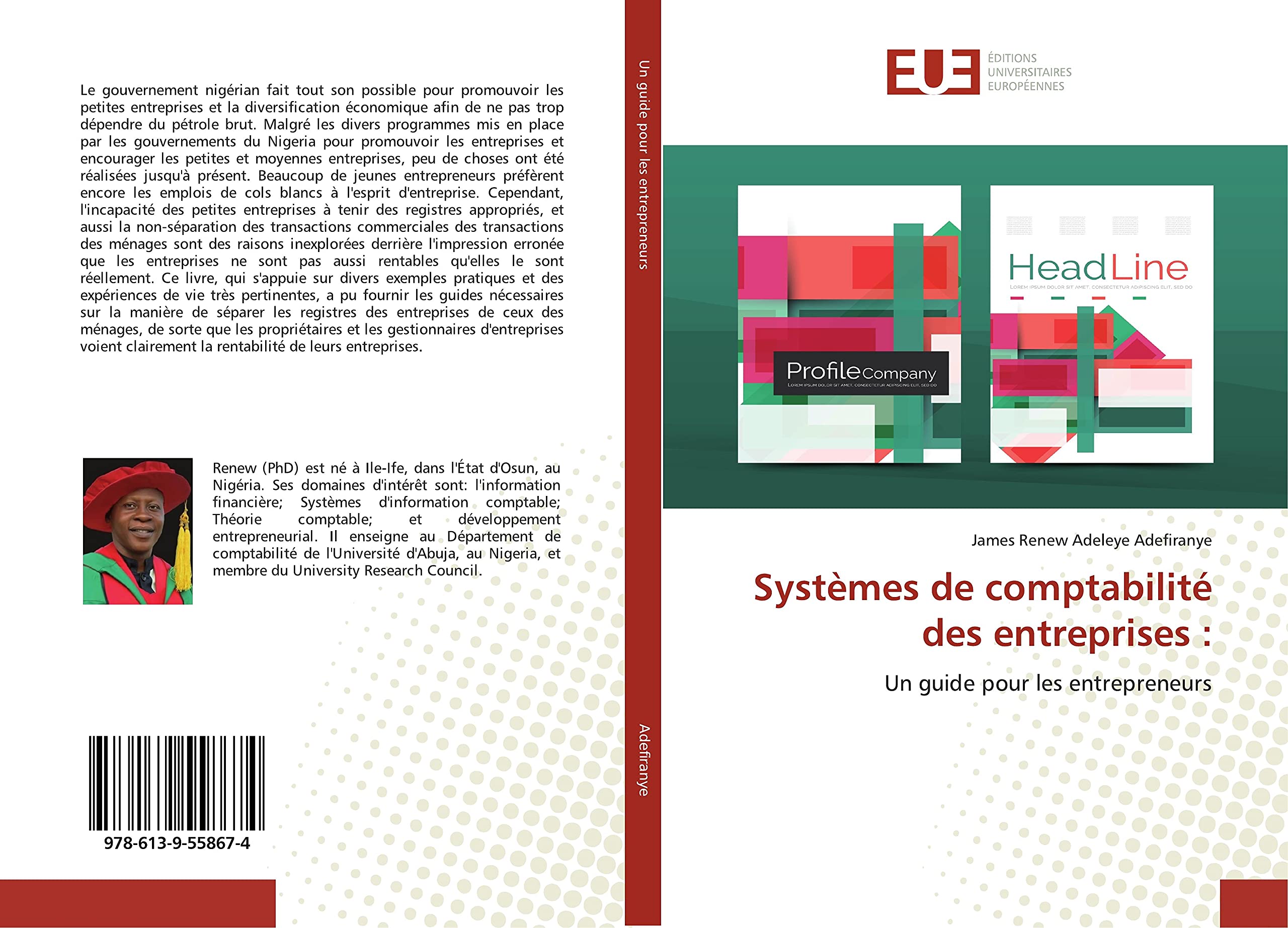 Systèmes de comptabilité des entreprises :: Un guide pour les entrepreneurs book