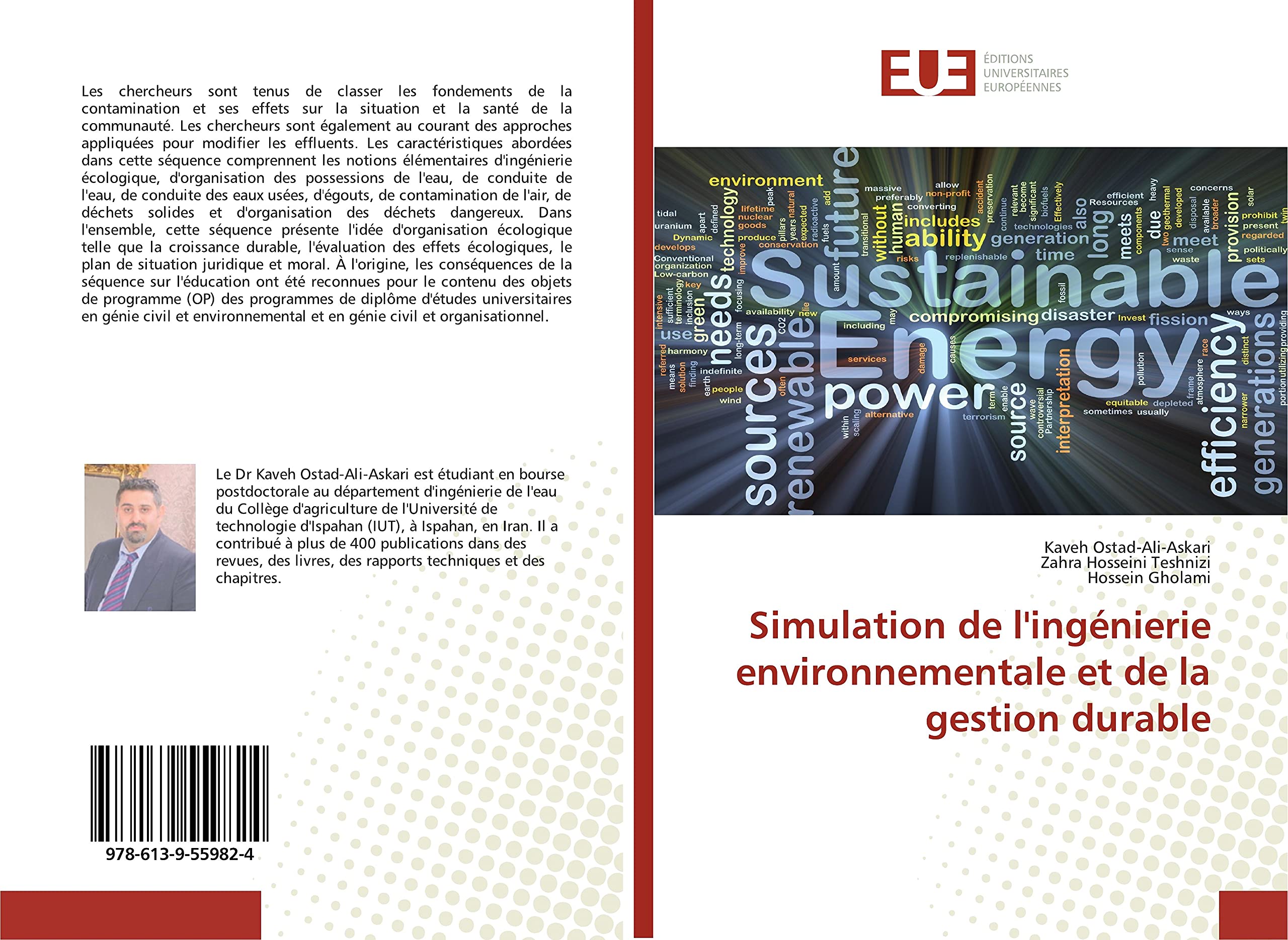 Simulation de l'ingénierie environnementale et de la gestion durable book
