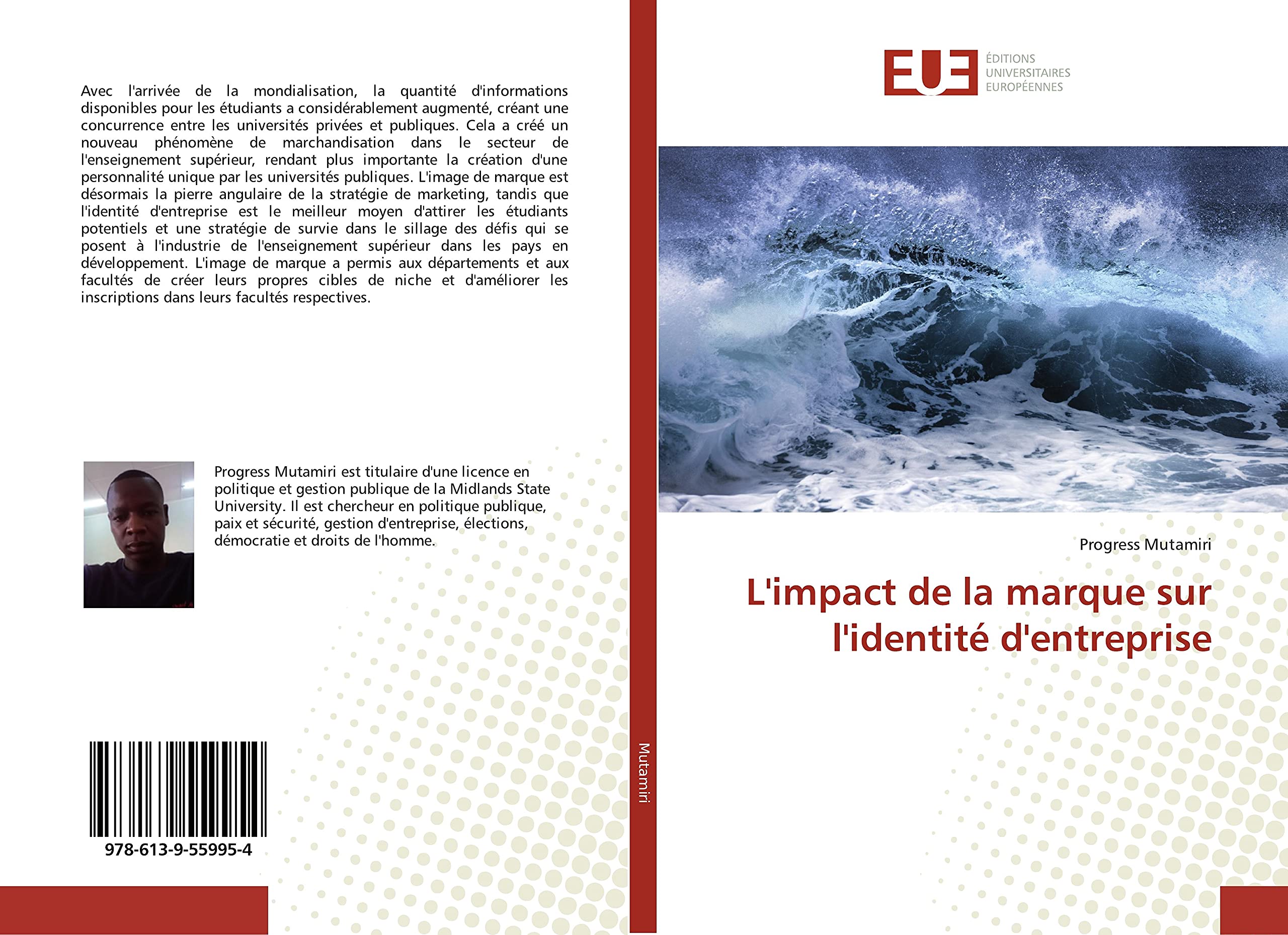 L'impact de la marque sur l'identité d'entreprise book