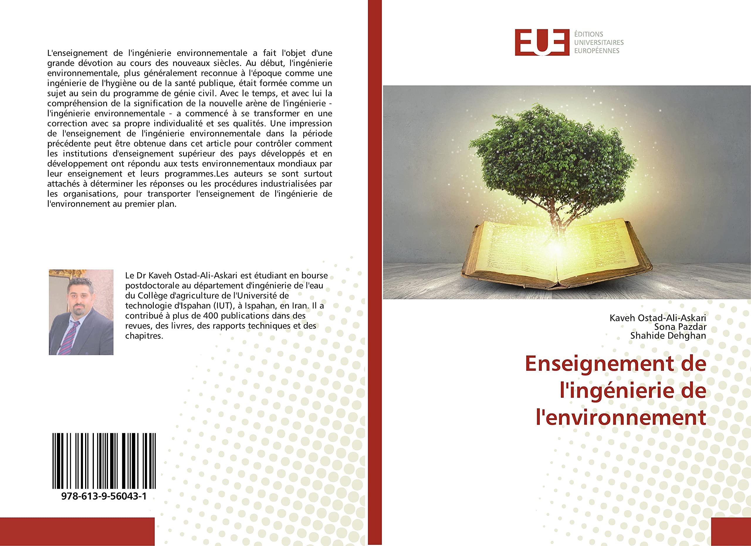 Enseignement de l'ingénierie de l'environnement book