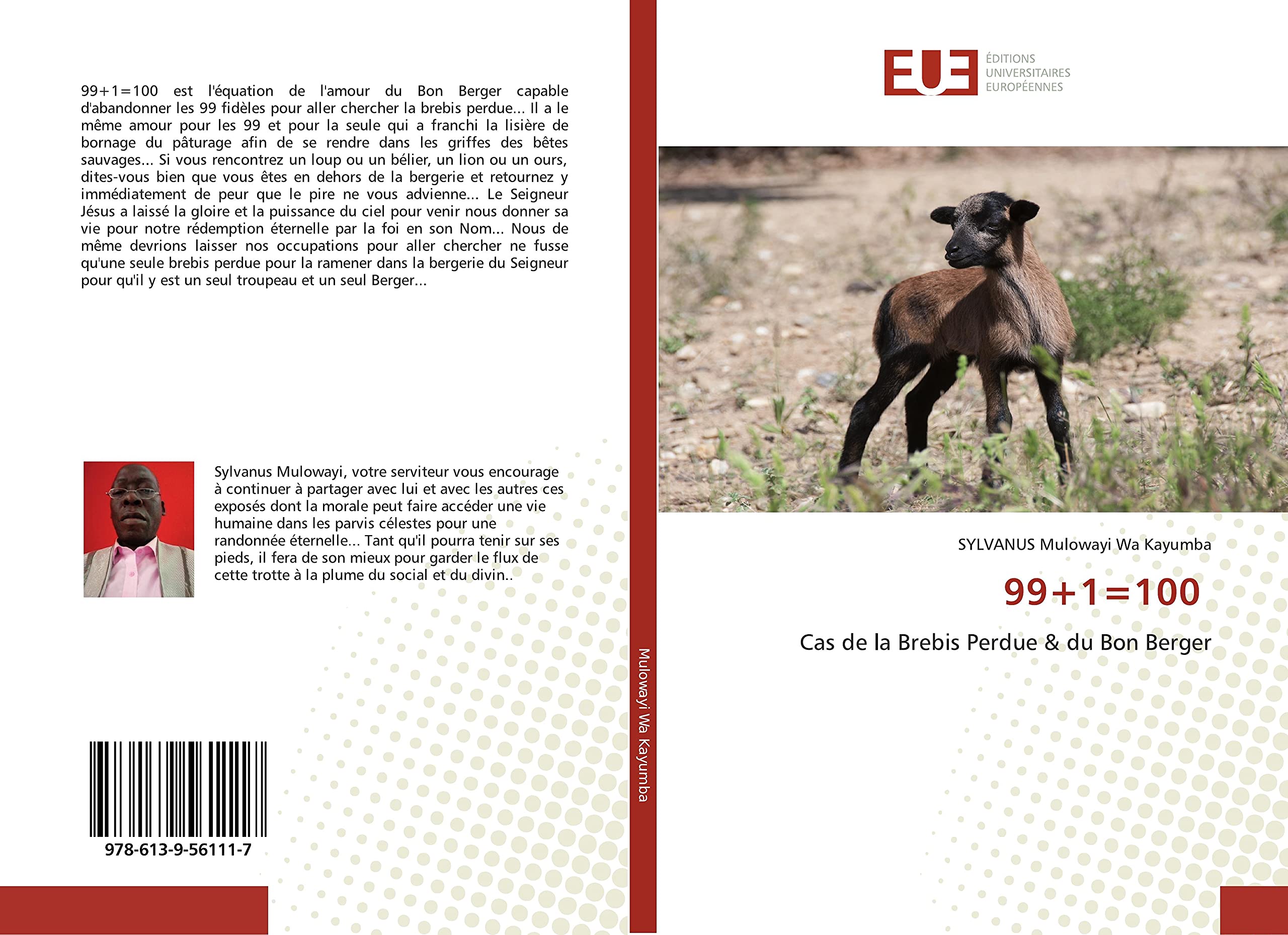 99+1=100: Cas de la Brebis Perdue & du Bon Berger book