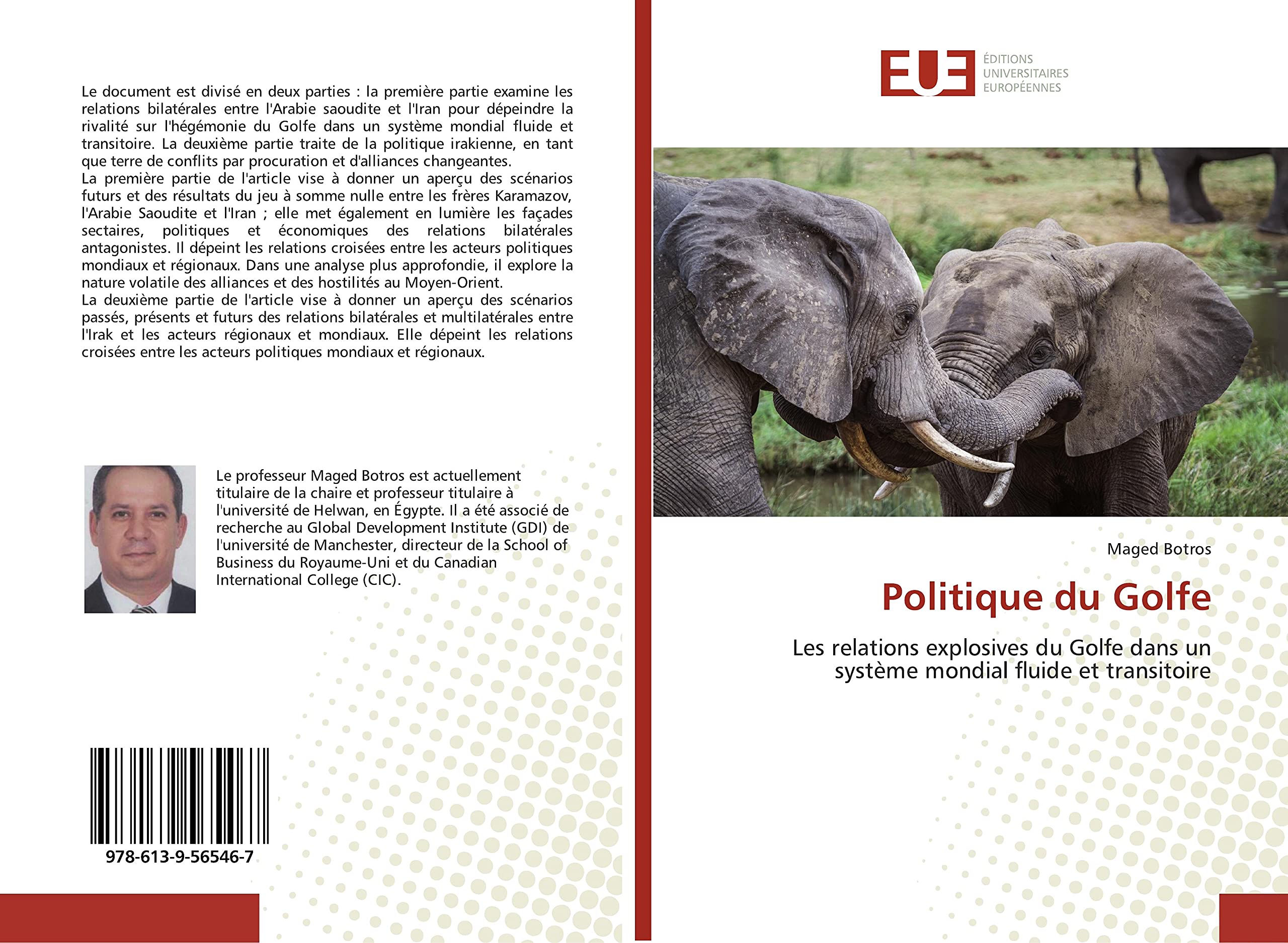 Politique du Golfe: Les relations explosives du Golfe dans un système mondial fluide et transitoire book