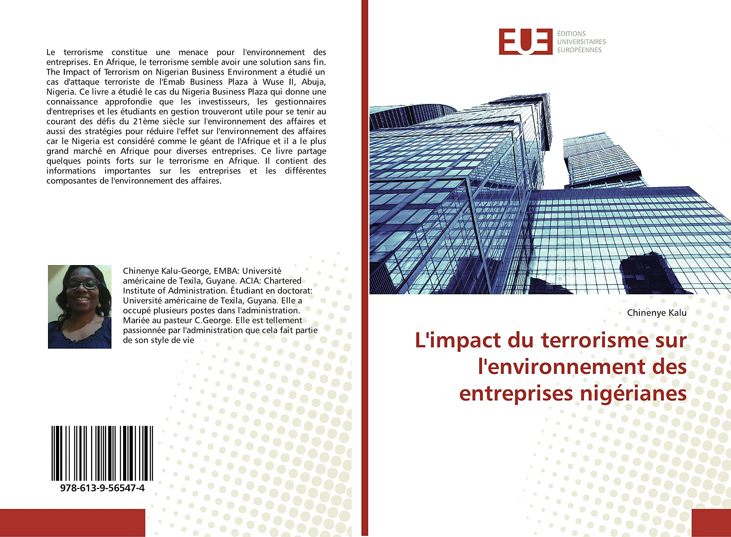 L'impact du terrorisme sur l'environnement des entreprises nigérianes book