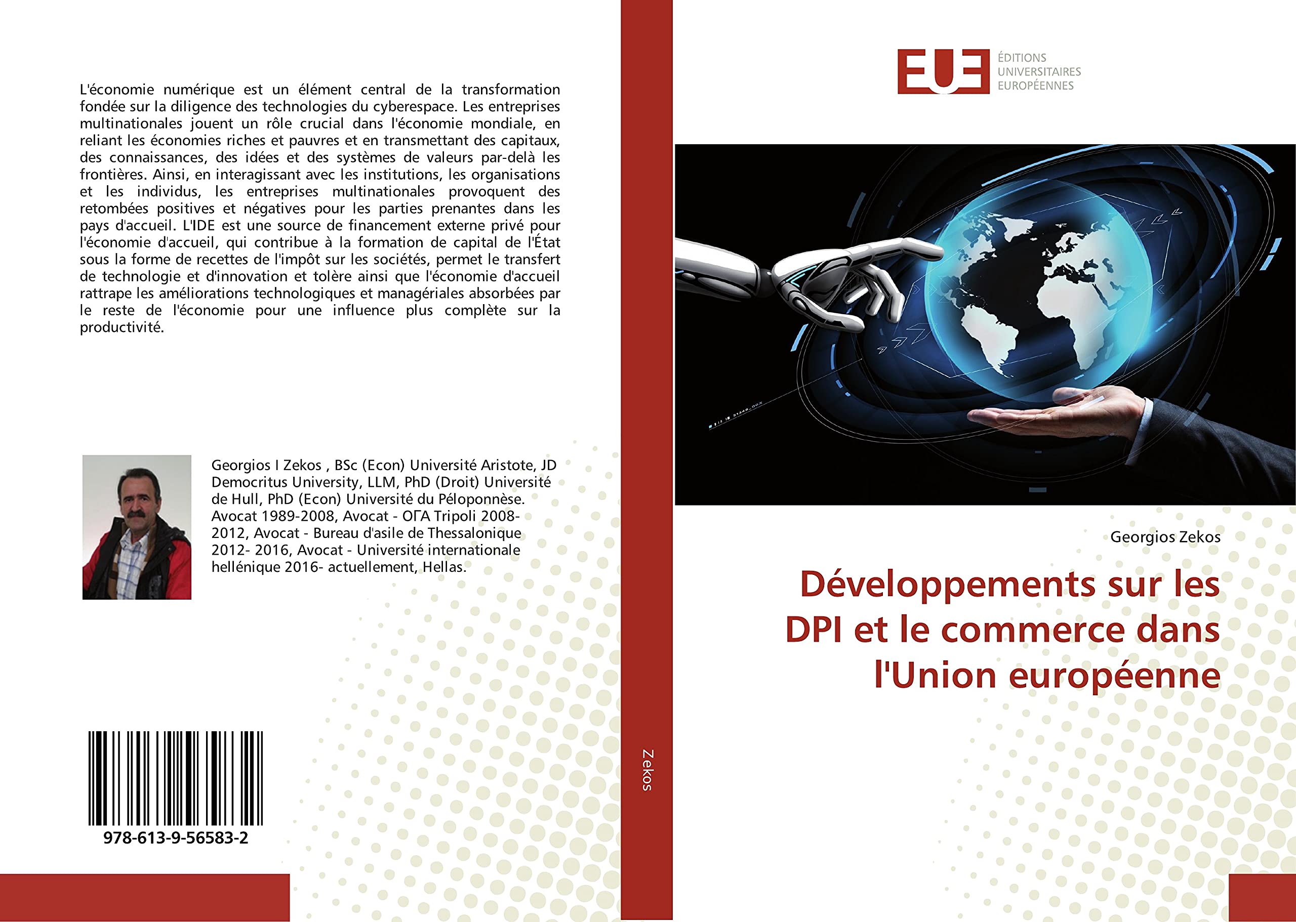 Développements sur les DPI et le commerce dans l'Union européenne book