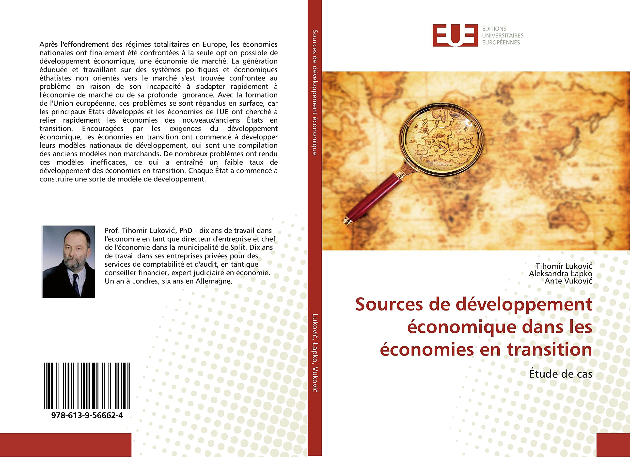 Sources de développement économique dans les économies en transition: Étude de cas book