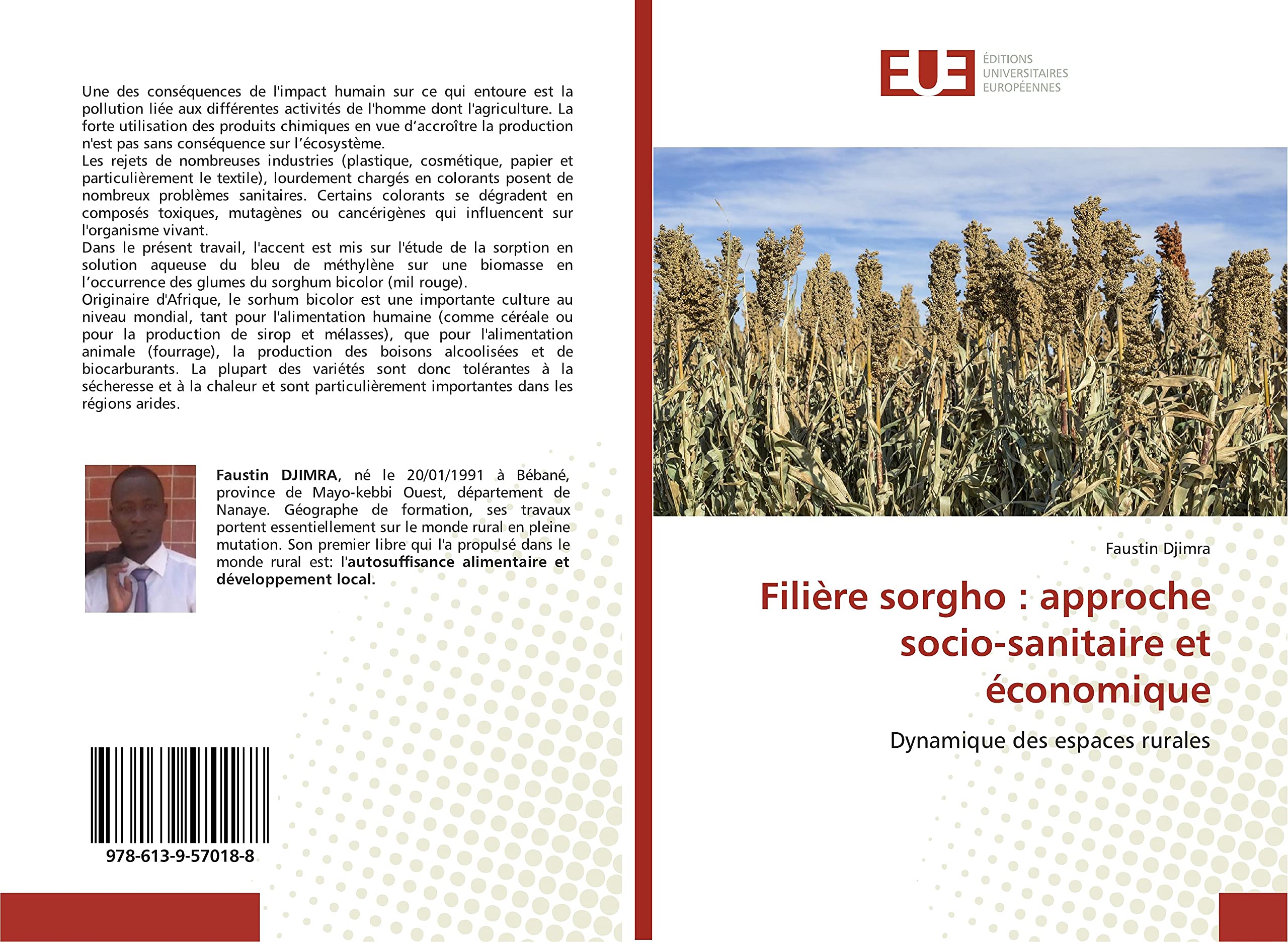 Filière sorgho : approche socio-sanitaire et économique book