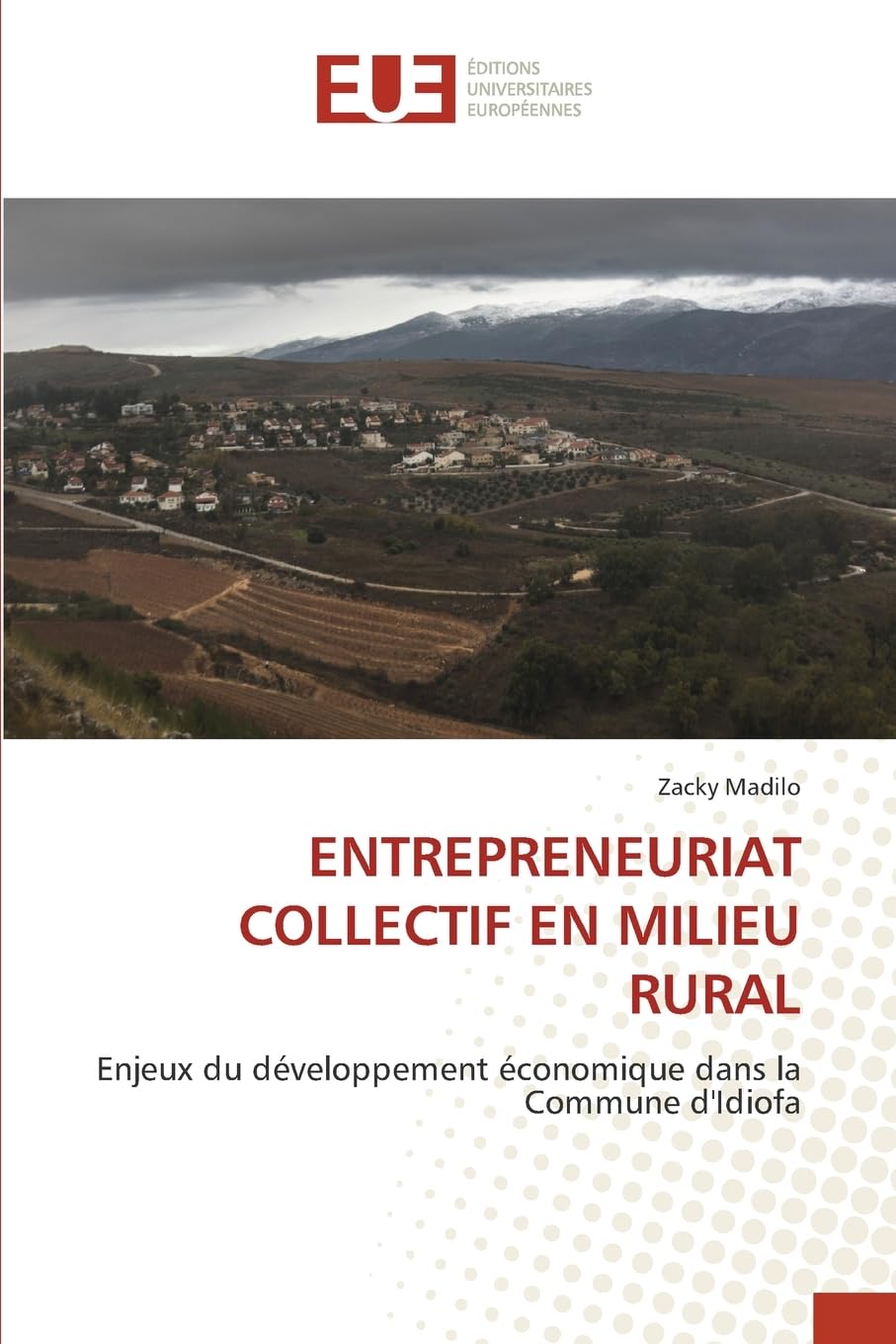 ENTREPRENEURIAT COLLECTIF EN MILIEU RURAL: Enjeux du développement économique dans la Commune d'Idiofa.DE Law