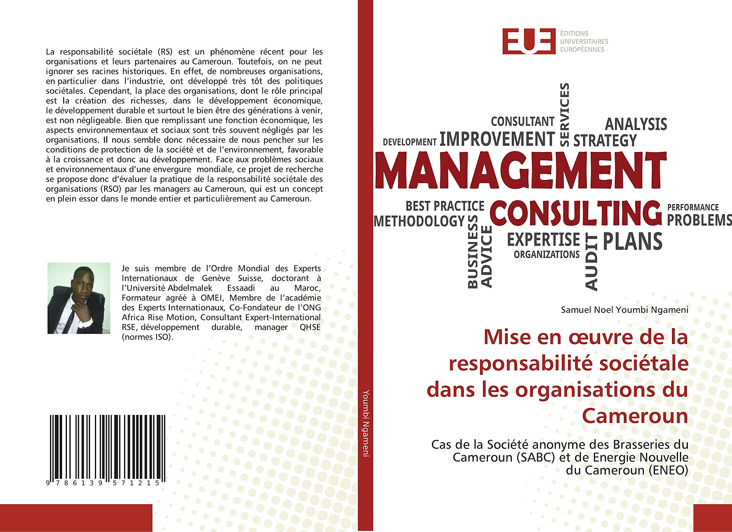 Mise en œuvre de la responsabilité sociétale dans les organisations du Cameroun: Cas de la Société anonyme des Brasseries du Cameroun (SABC) et de Energie Nouvelle du Cameroun (ENEO) book